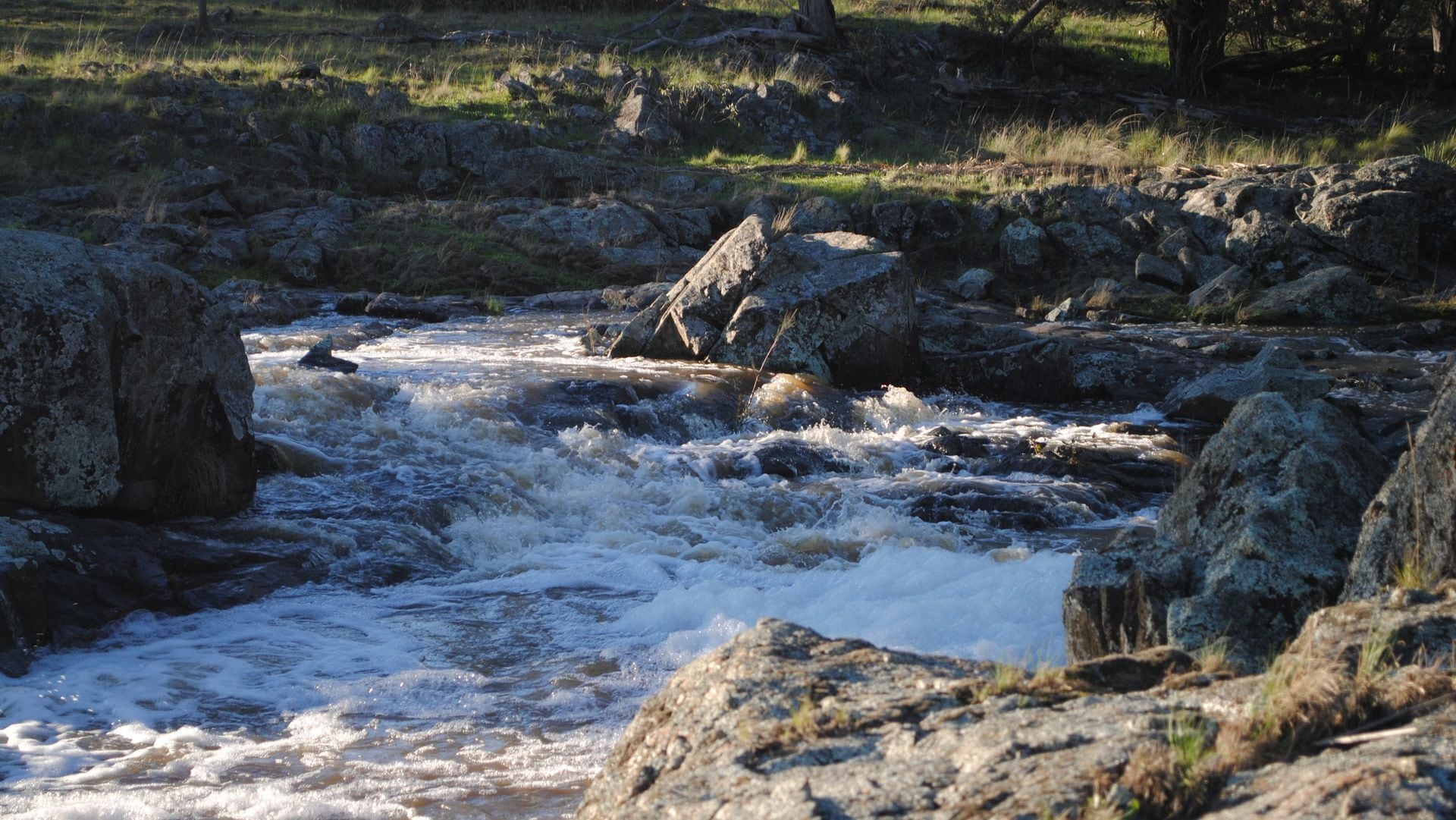 Waterloo Stockmans Cottage - Historic Rural Property
