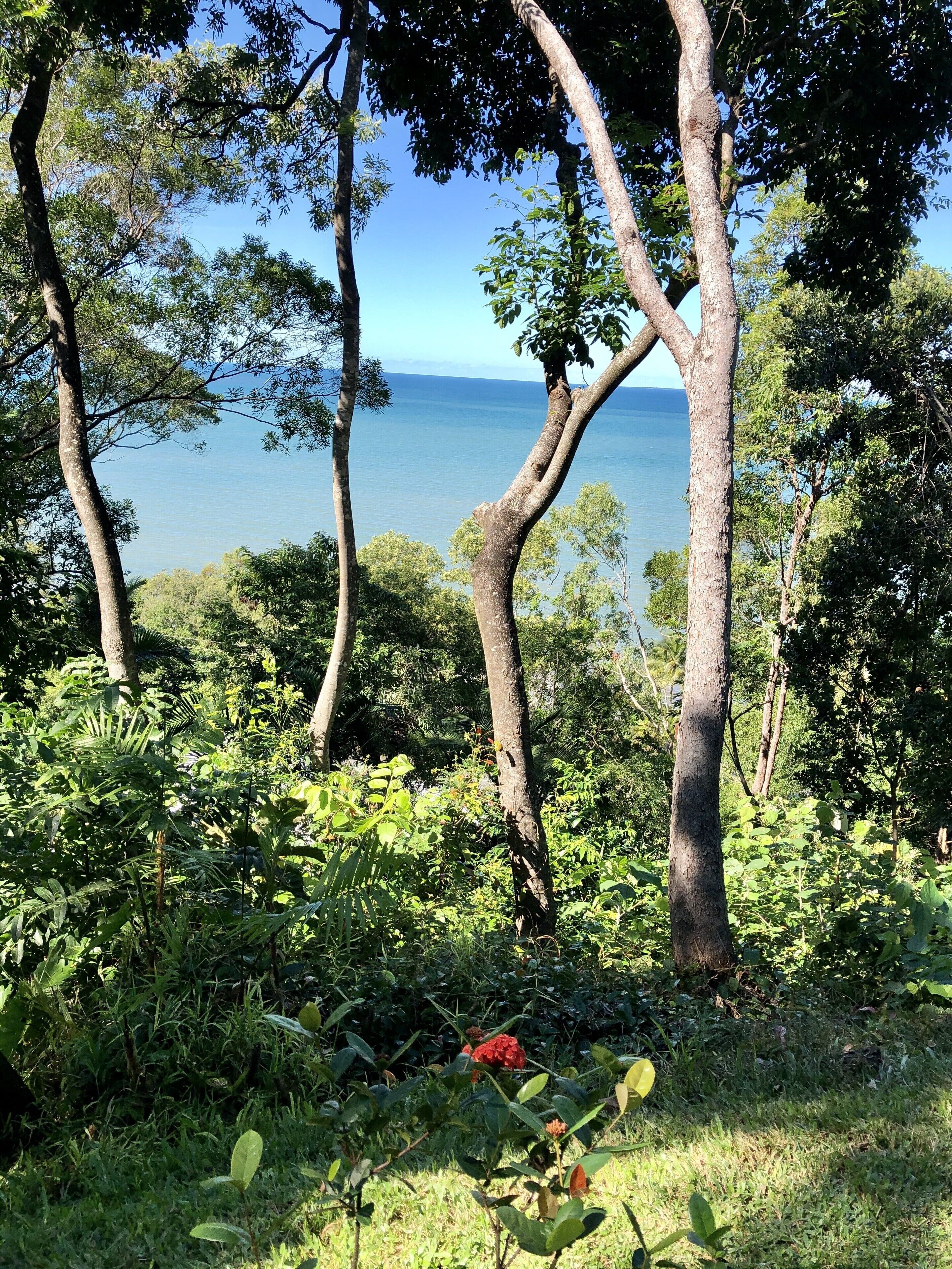 Gunnadoo - Ocean View Hut With Jacuzzi Private Rainforest Setting