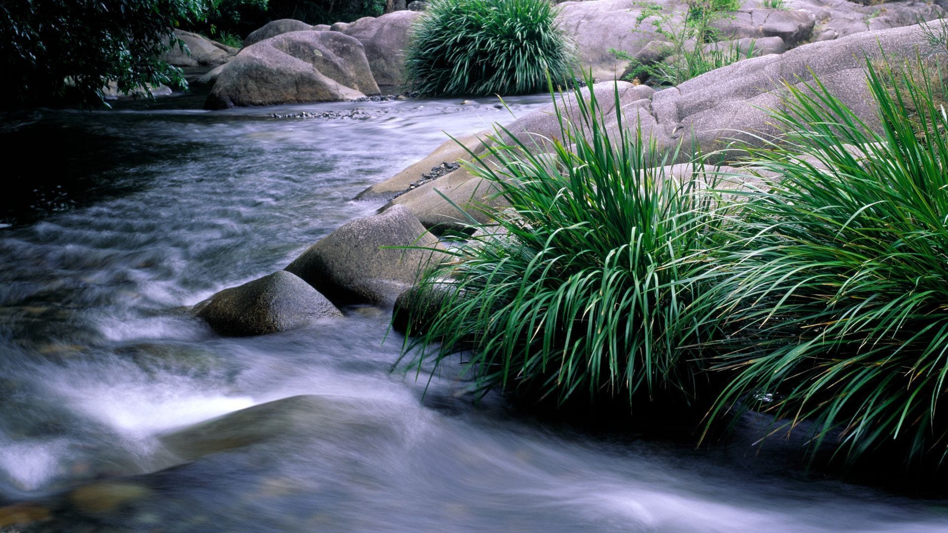 Promised Land Retreat - The Bower