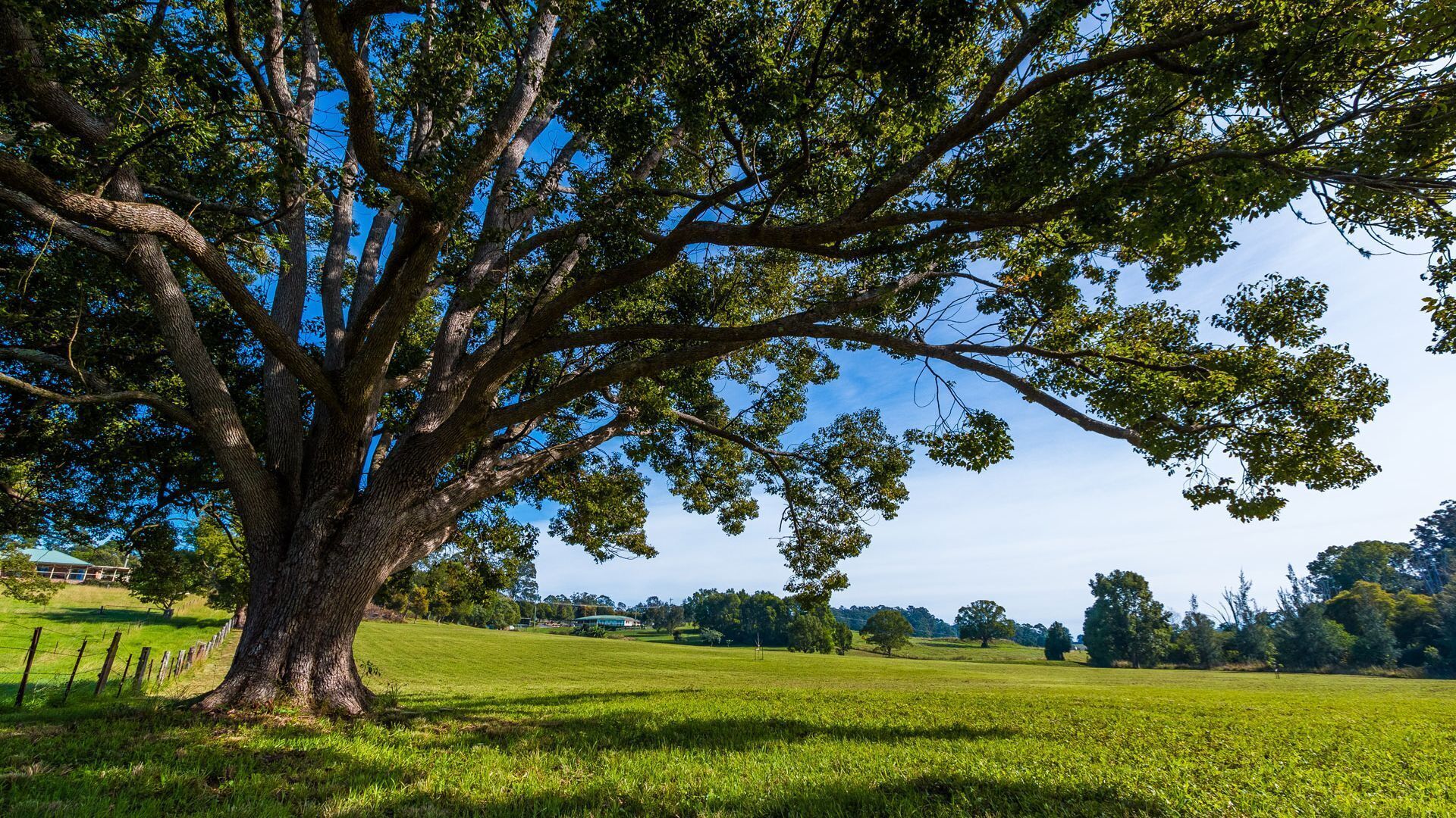 ALL ABOUT ME BED AND BREAKFAST