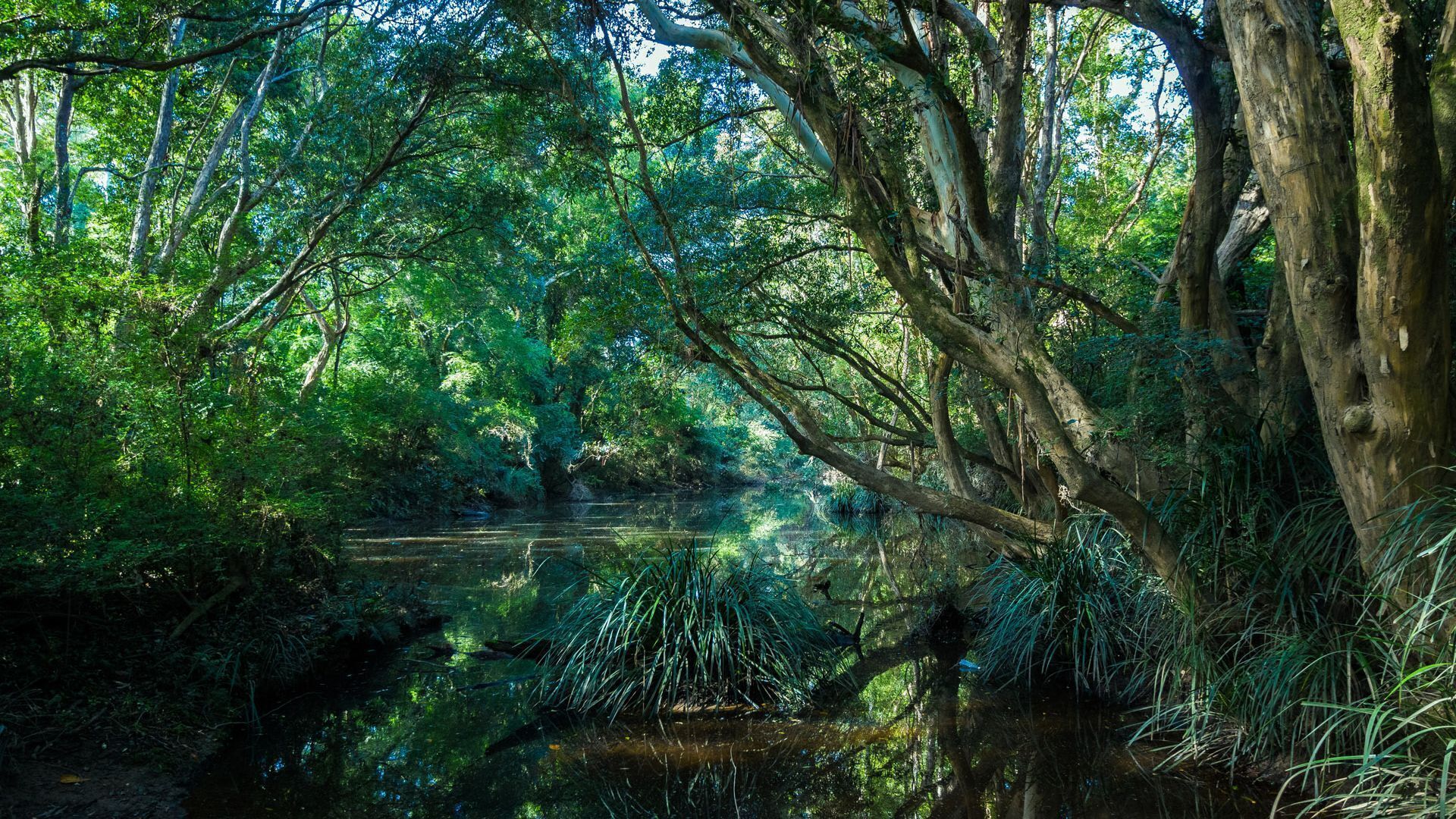 ALL ABOUT ME BED AND BREAKFAST