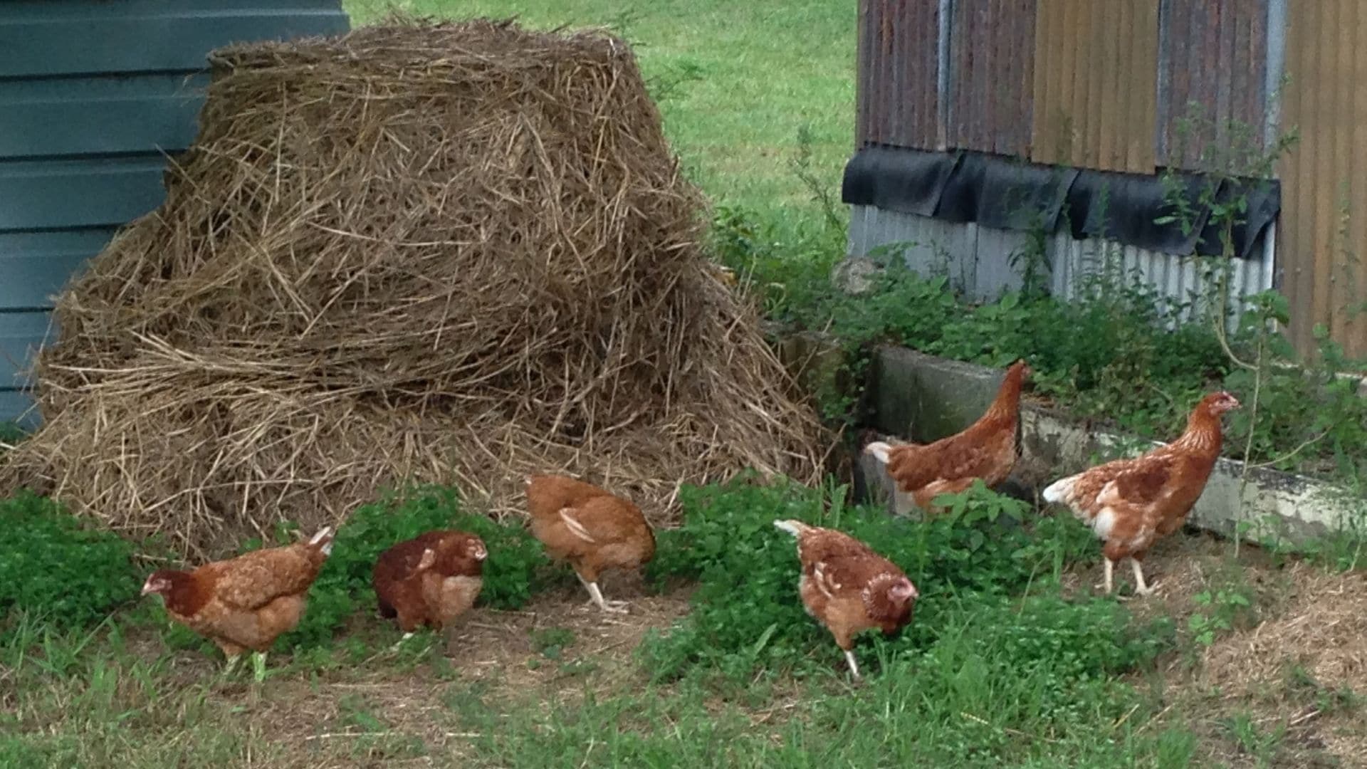 ALL ABOUT ME BED AND BREAKFAST