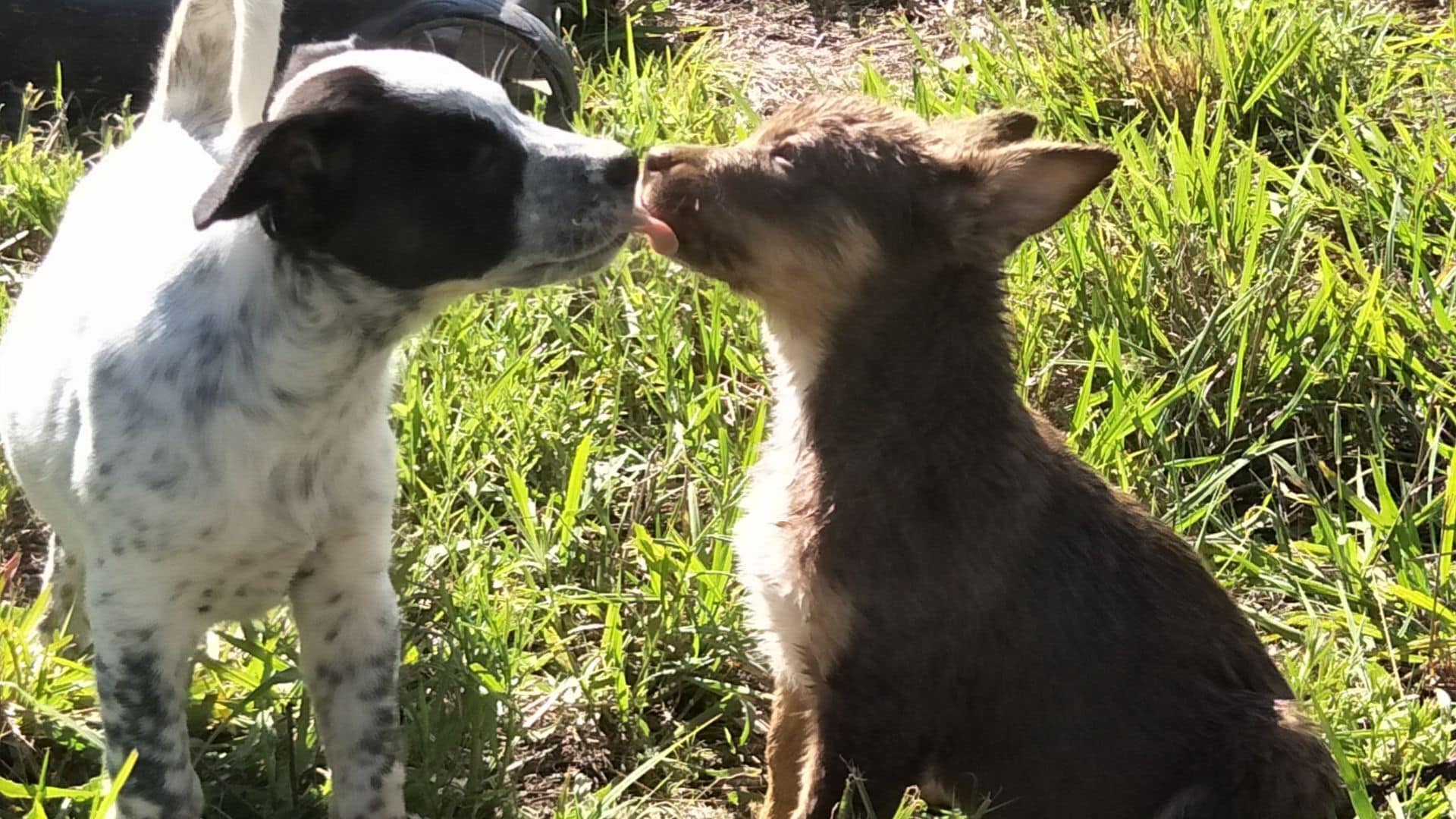 ALL ABOUT ME BED AND BREAKFAST