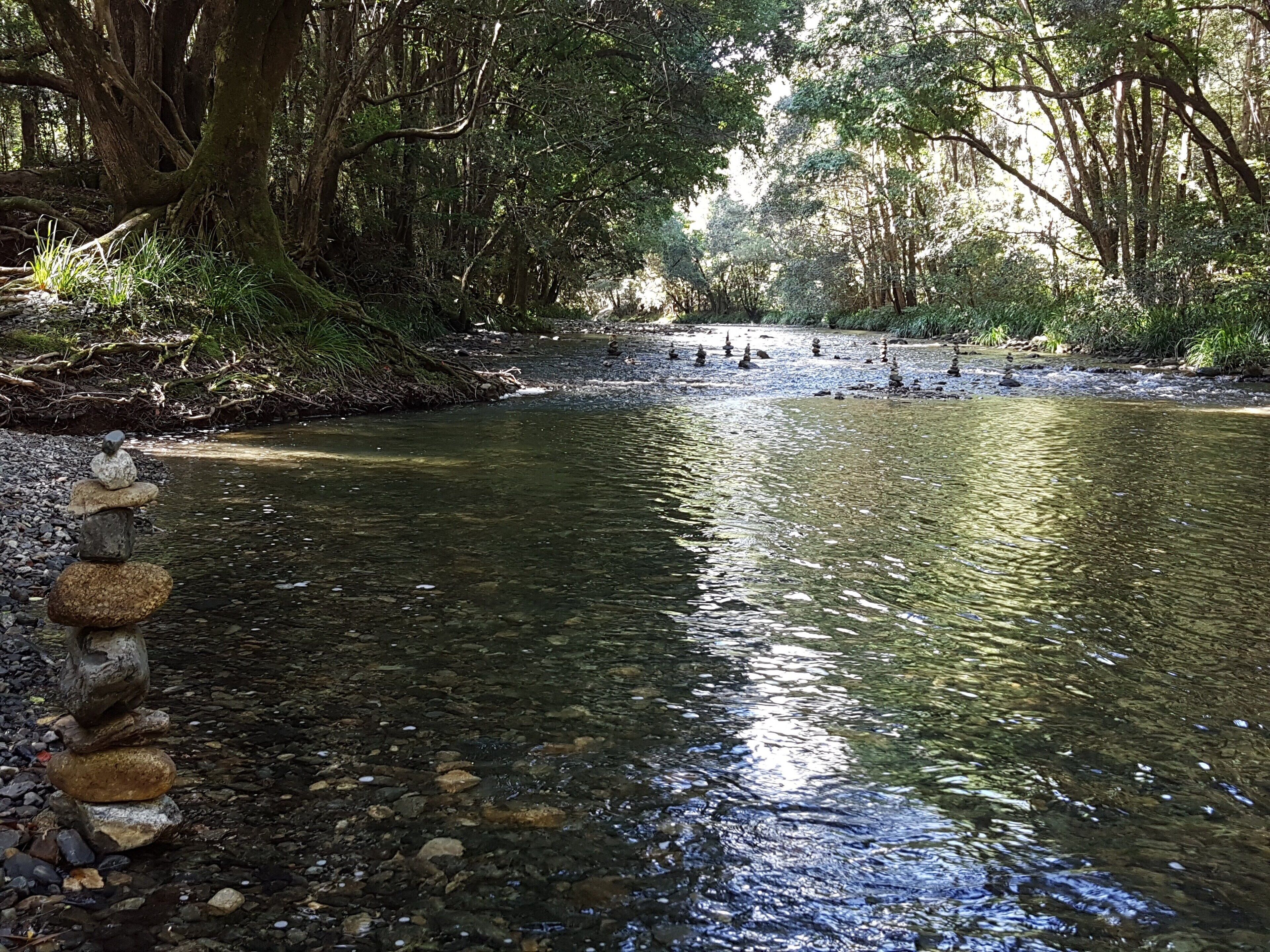A beautiful place to be together - historic Gleniffer homestead near Bellingen