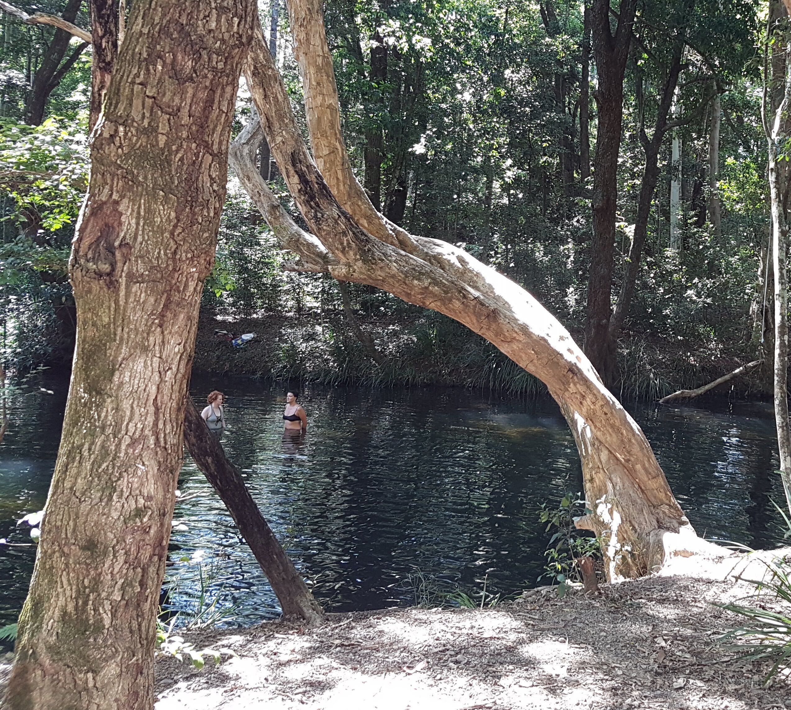 A beautiful place to be together - historic Gleniffer homestead near Bellingen