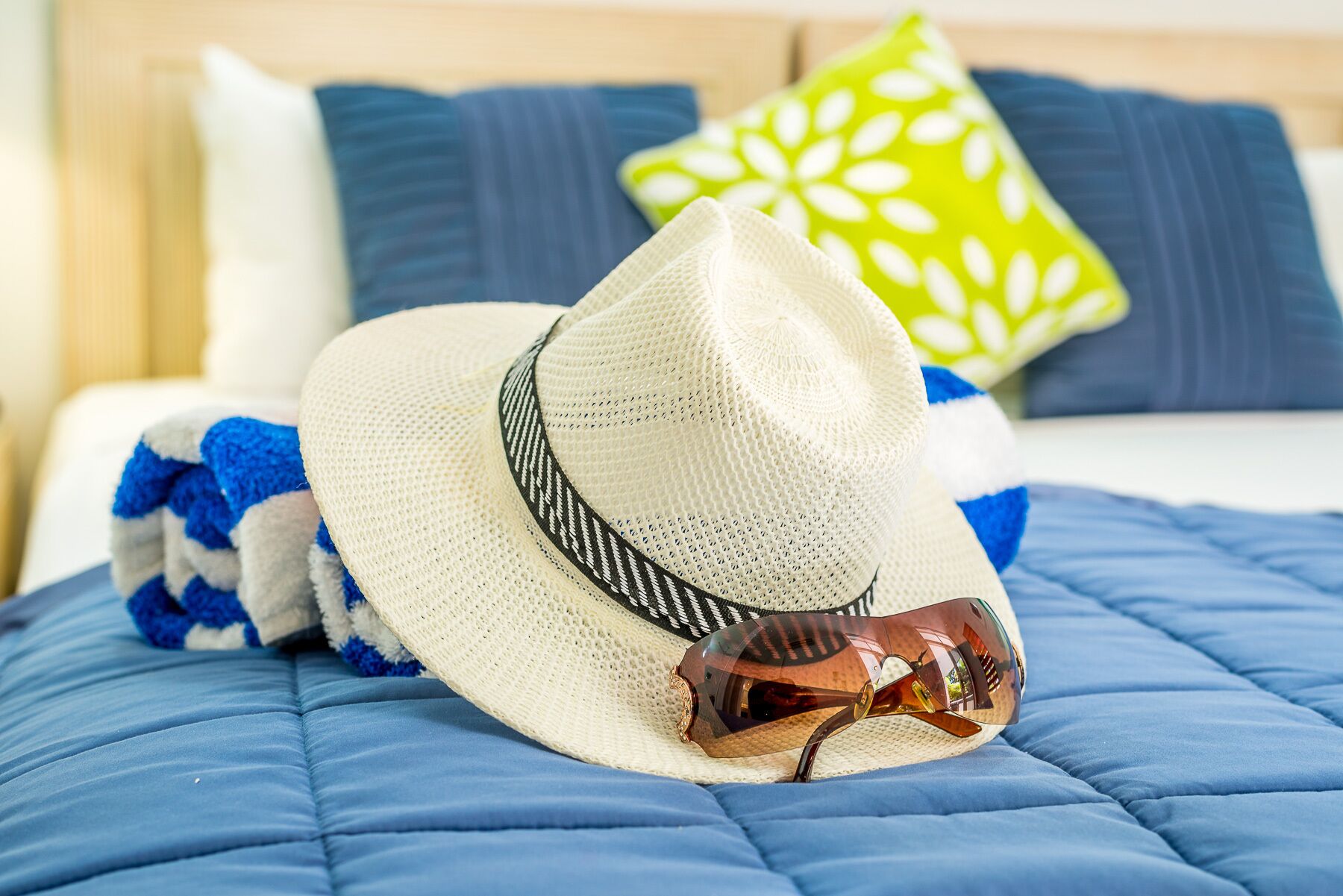 Oasis 8 Paradise at Palm Cove