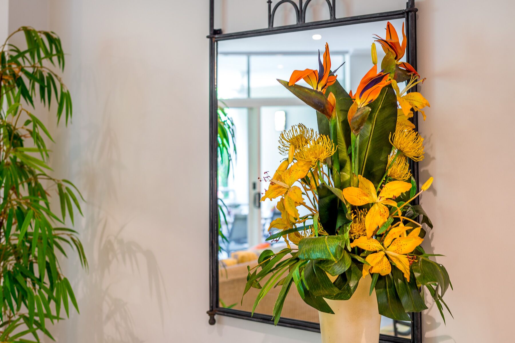 Oasis 8 Paradise at Palm Cove