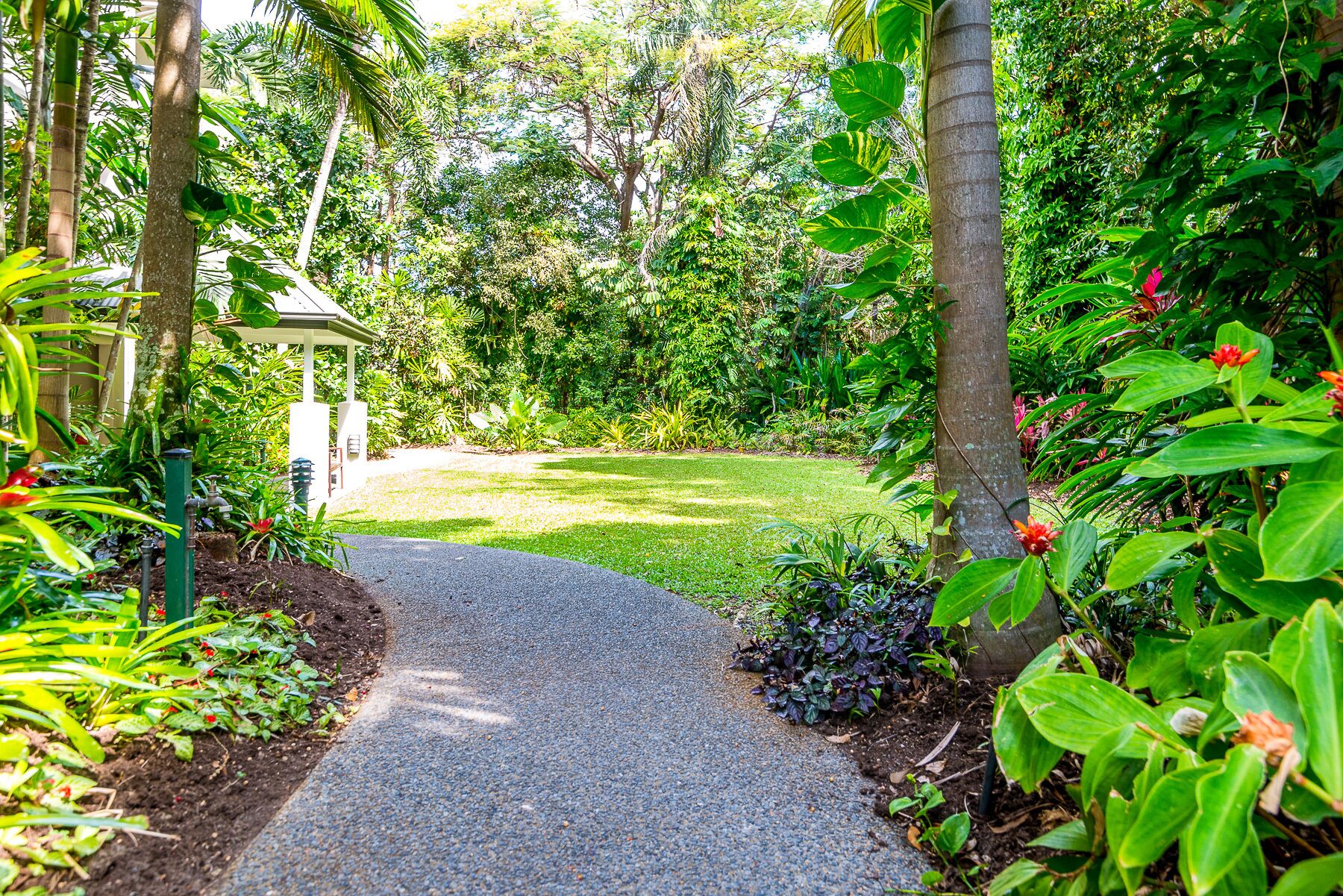 Oasis 8 Paradise at Palm Cove