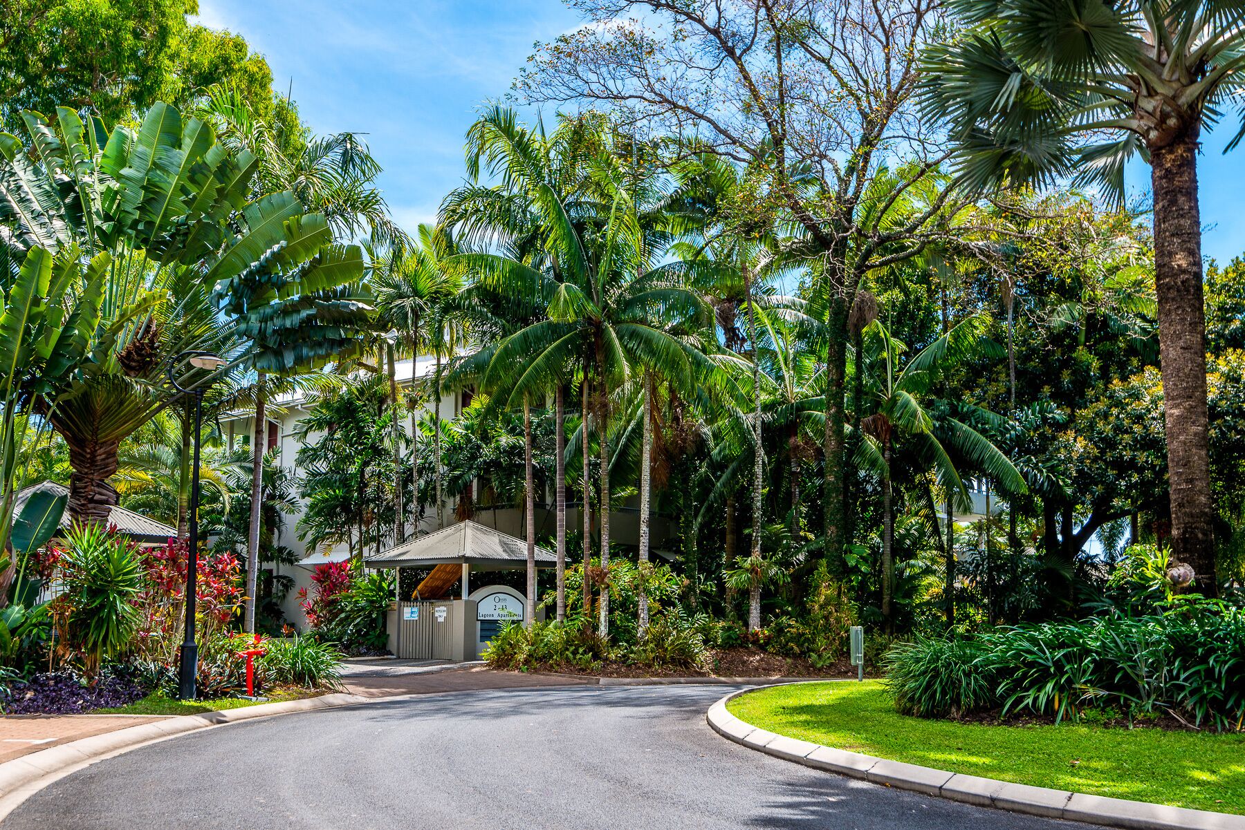 Oasis 8 Paradise at Palm Cove