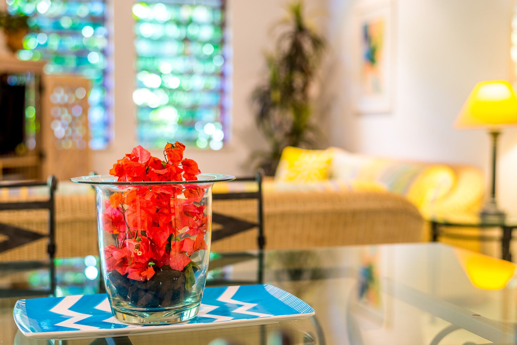 Oasis 8 Paradise at Palm Cove