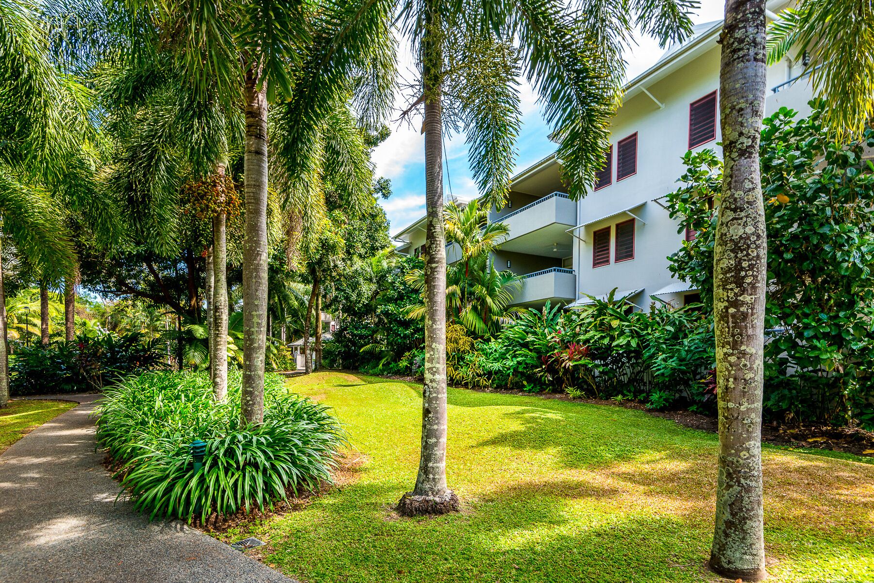 Oasis 8 Paradise at Palm Cove