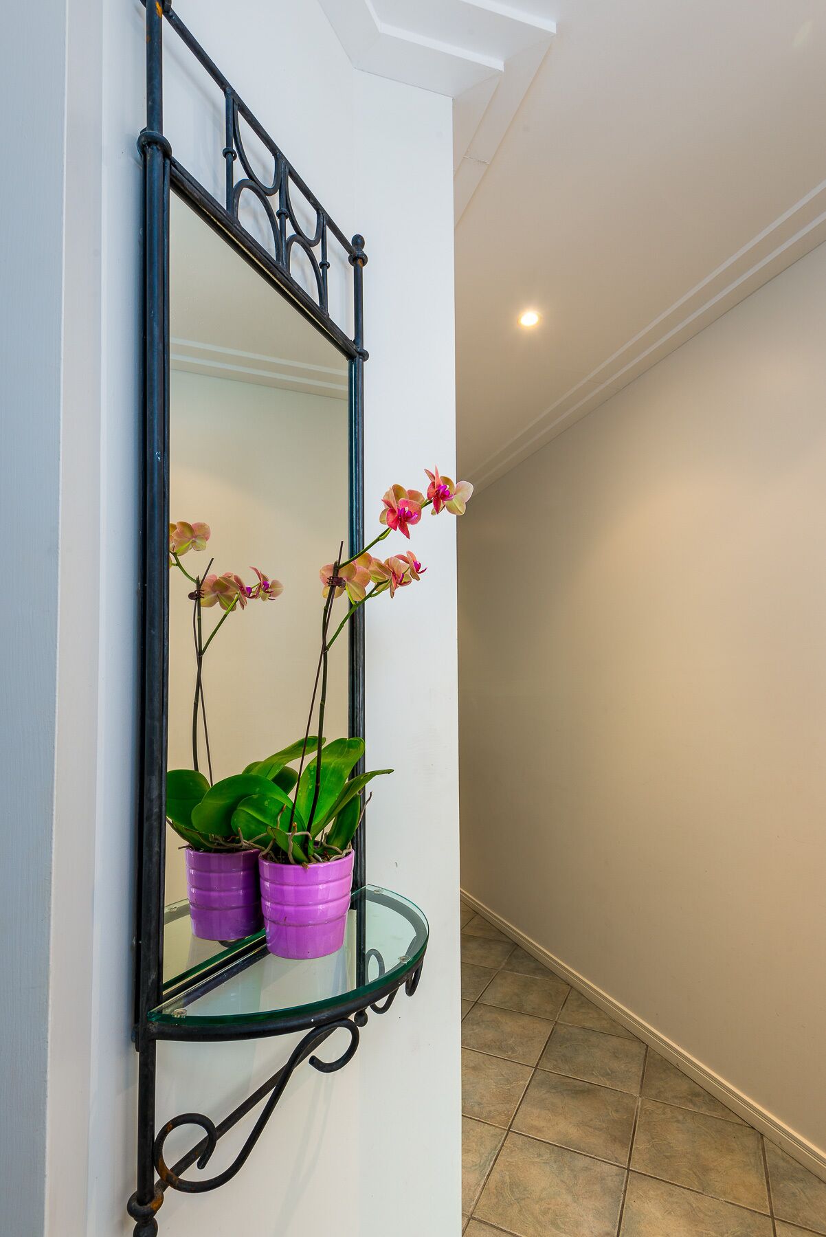 Oasis 8 Paradise at Palm Cove