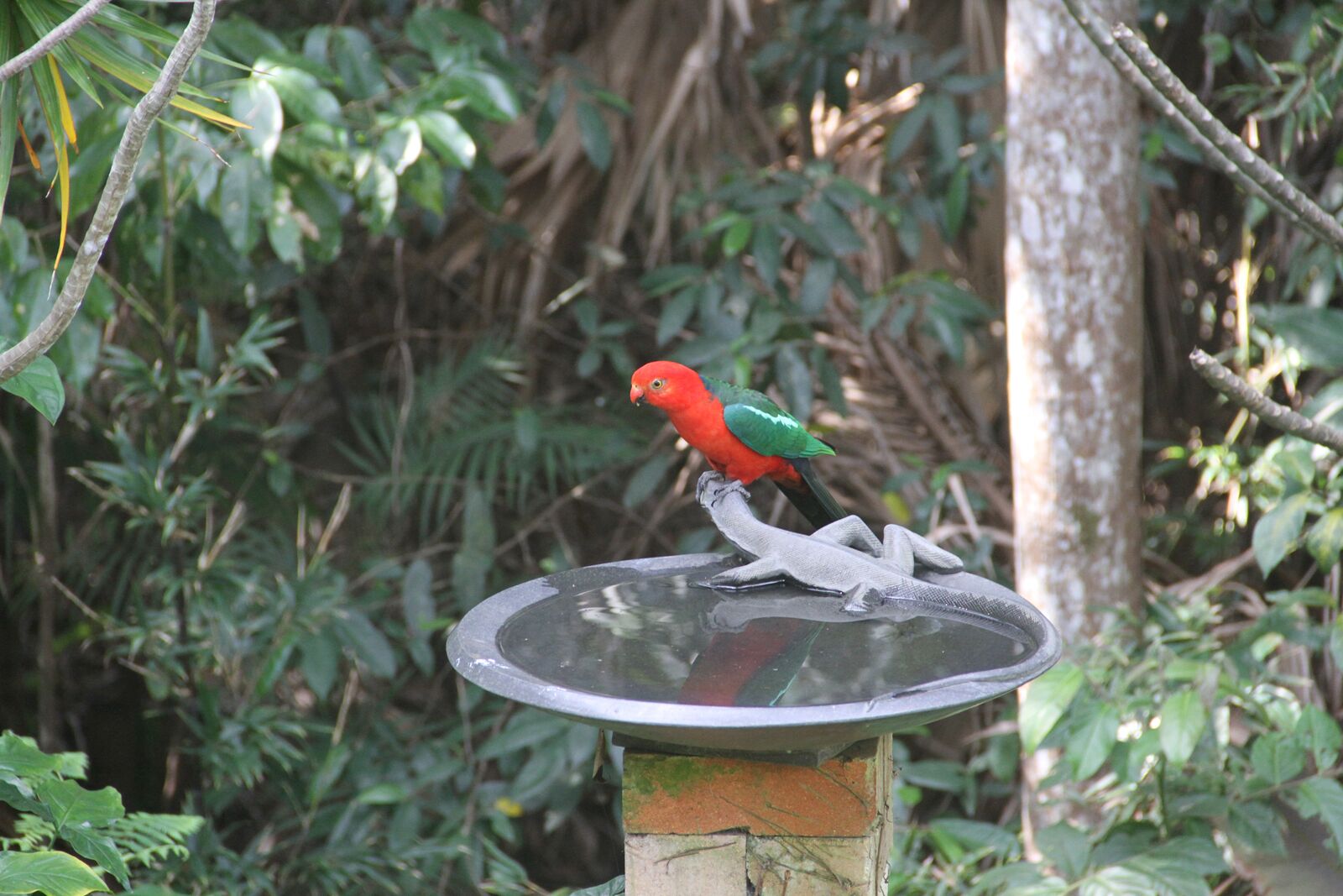 The Artist Studio - secluded hideaway perfect for couples getaway and family fun