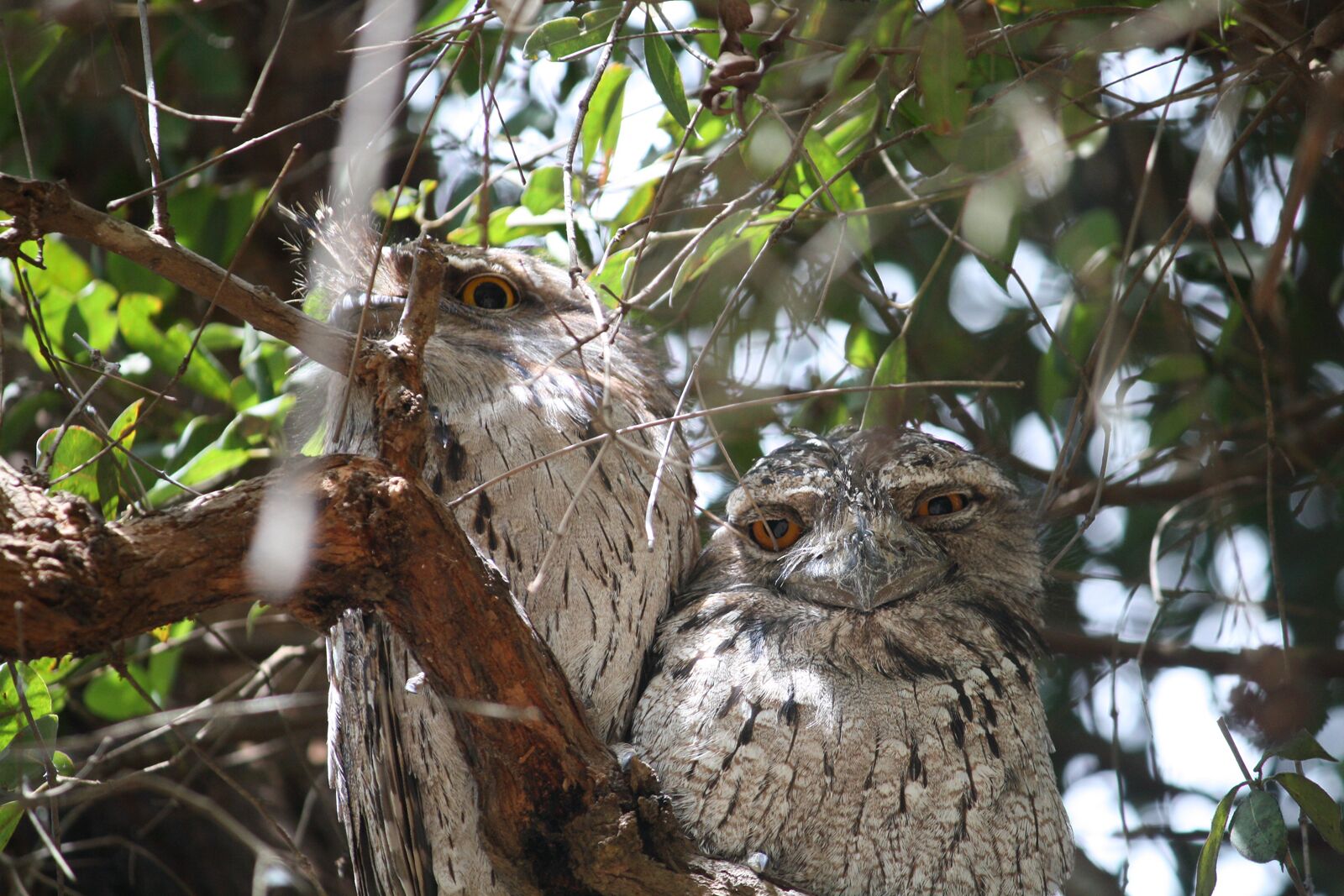 The Artist Studio - secluded hideaway perfect for couples getaway and family fun