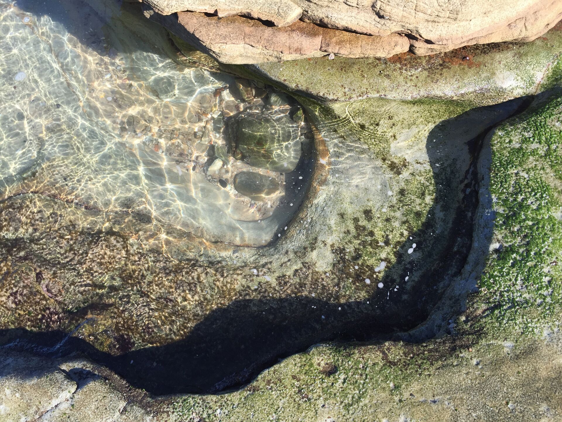 The Artist Studio - secluded hideaway perfect for couples getaway and family fun