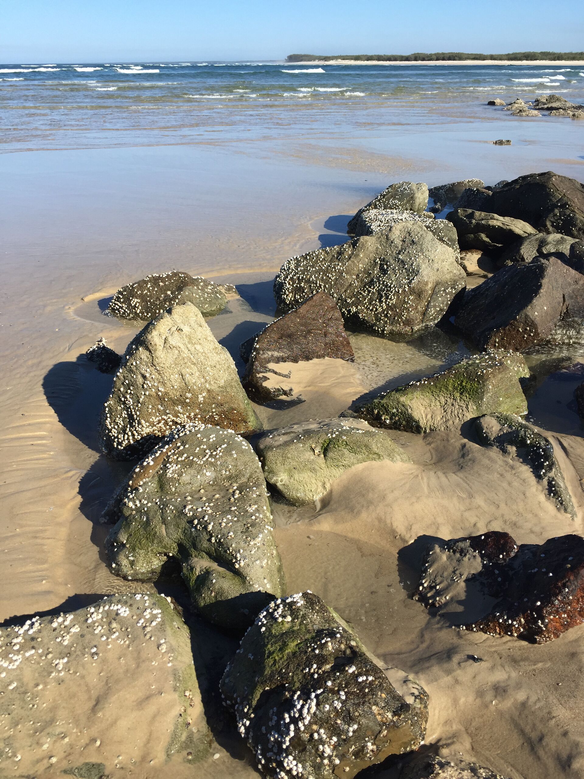 The Artist Studio - secluded hideaway perfect for couples getaway and family fun