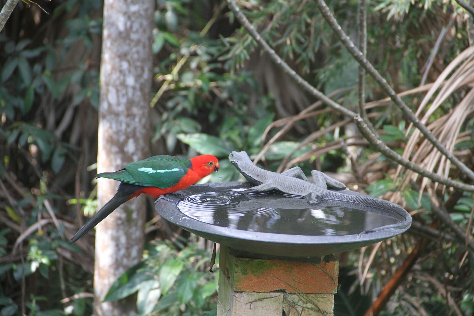 The Artist Studio - secluded hideaway perfect for couples getaway and family fun