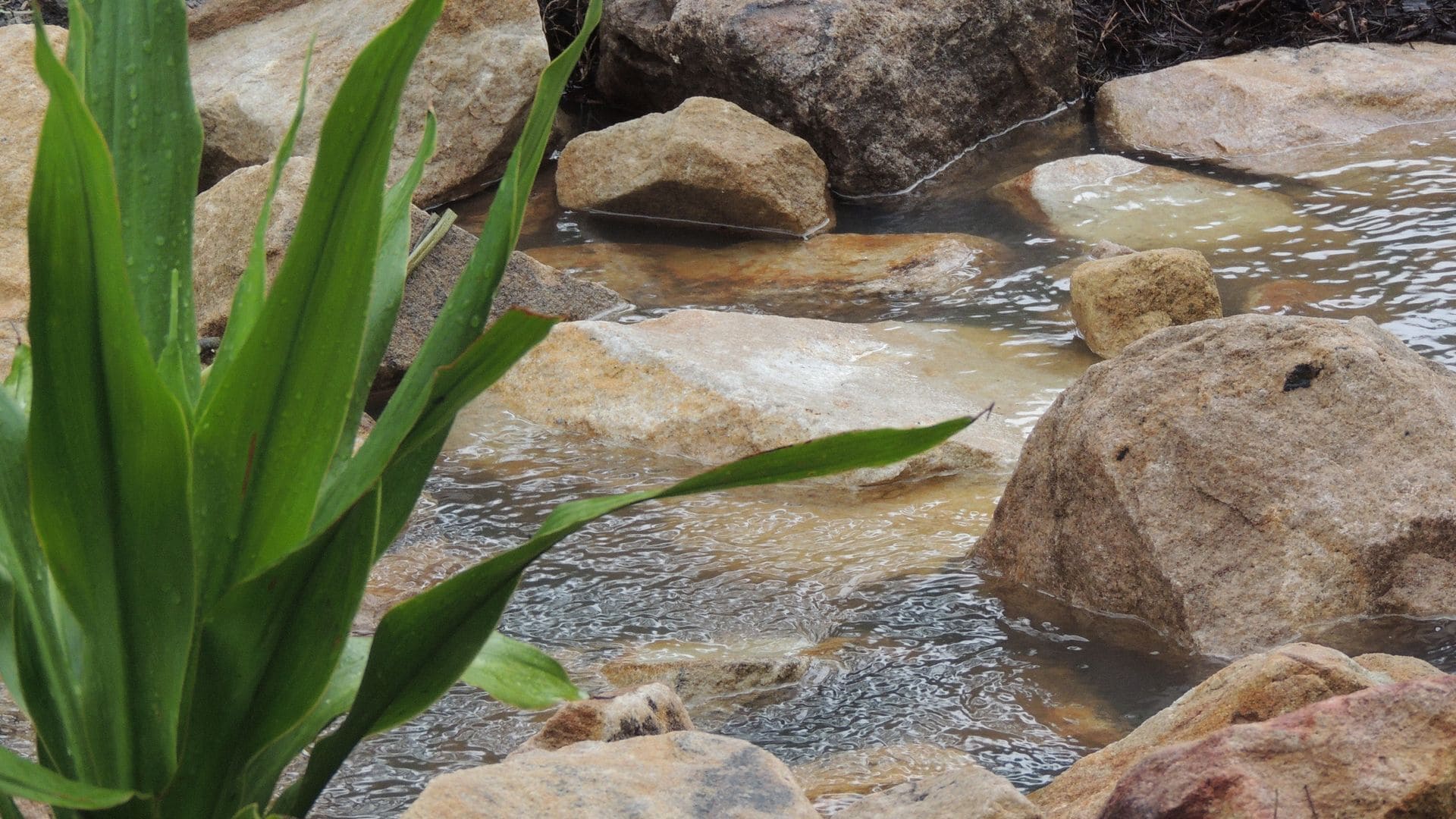 The Pouch B & B - peaceful couples retreat