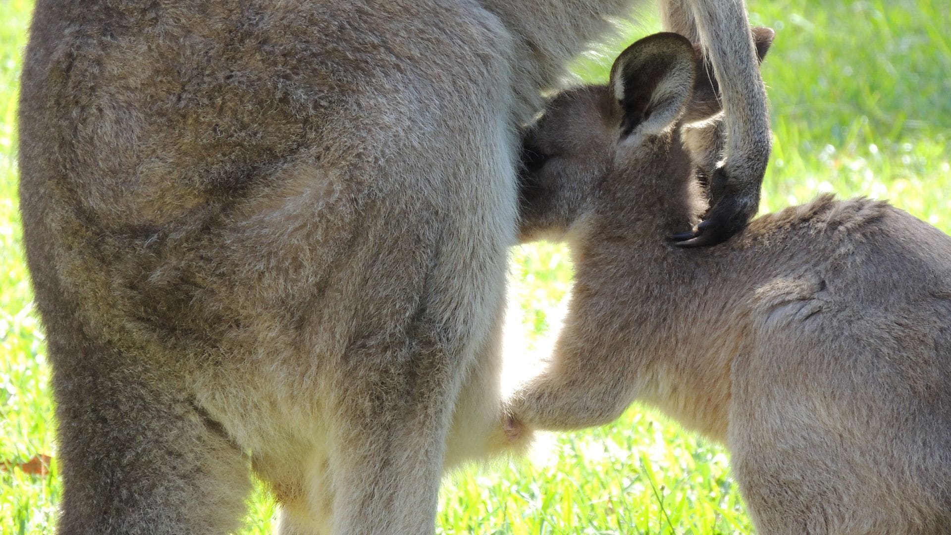 The Pouch B & B - peaceful couples retreat