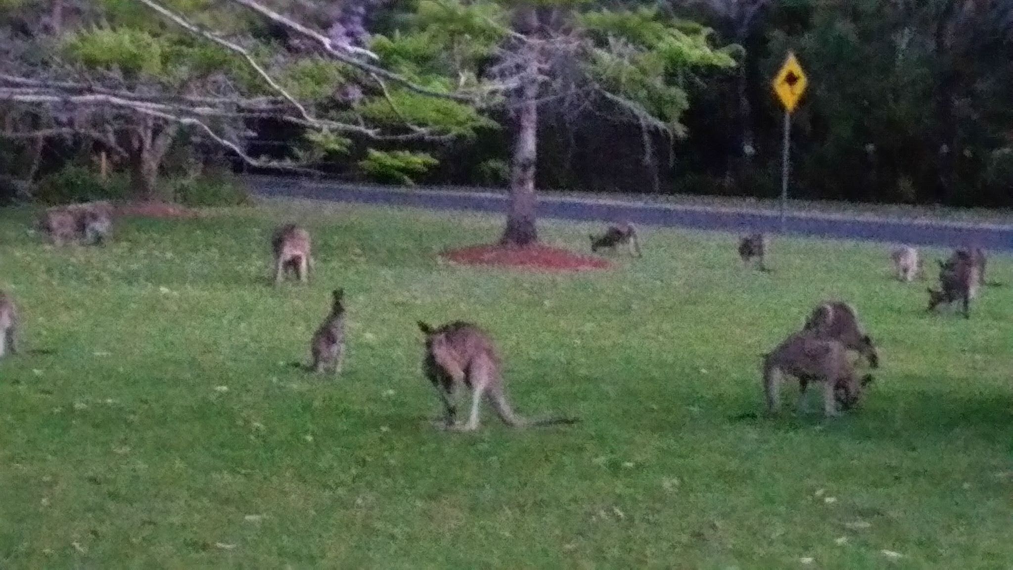 MOONEE BEACH HIDEAWAY