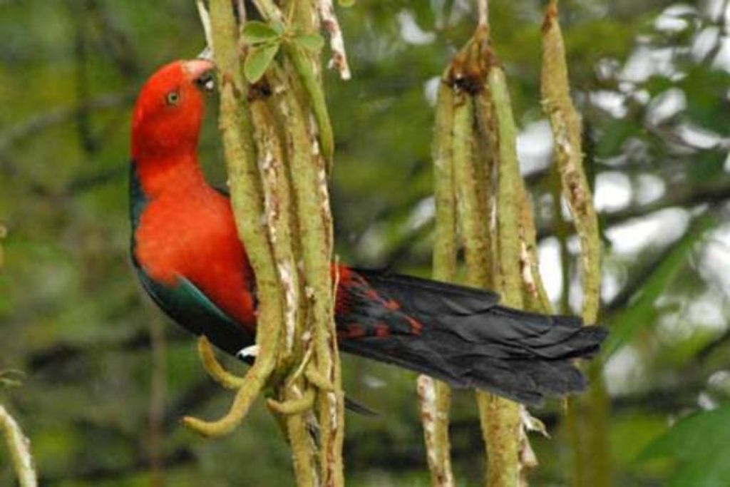 Easy Street Retreat - River Cottage