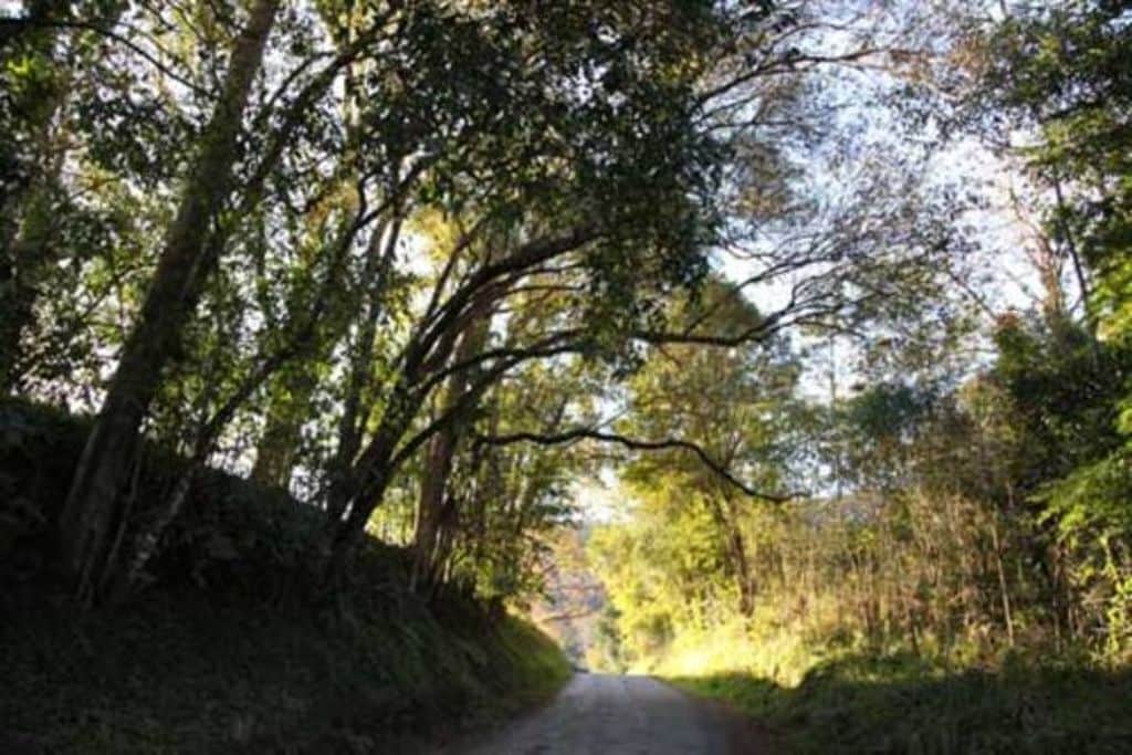 Easy Street Retreat - River Cottage