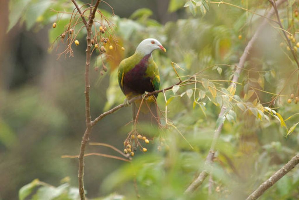 Easy Street Retreat - River Cottage
