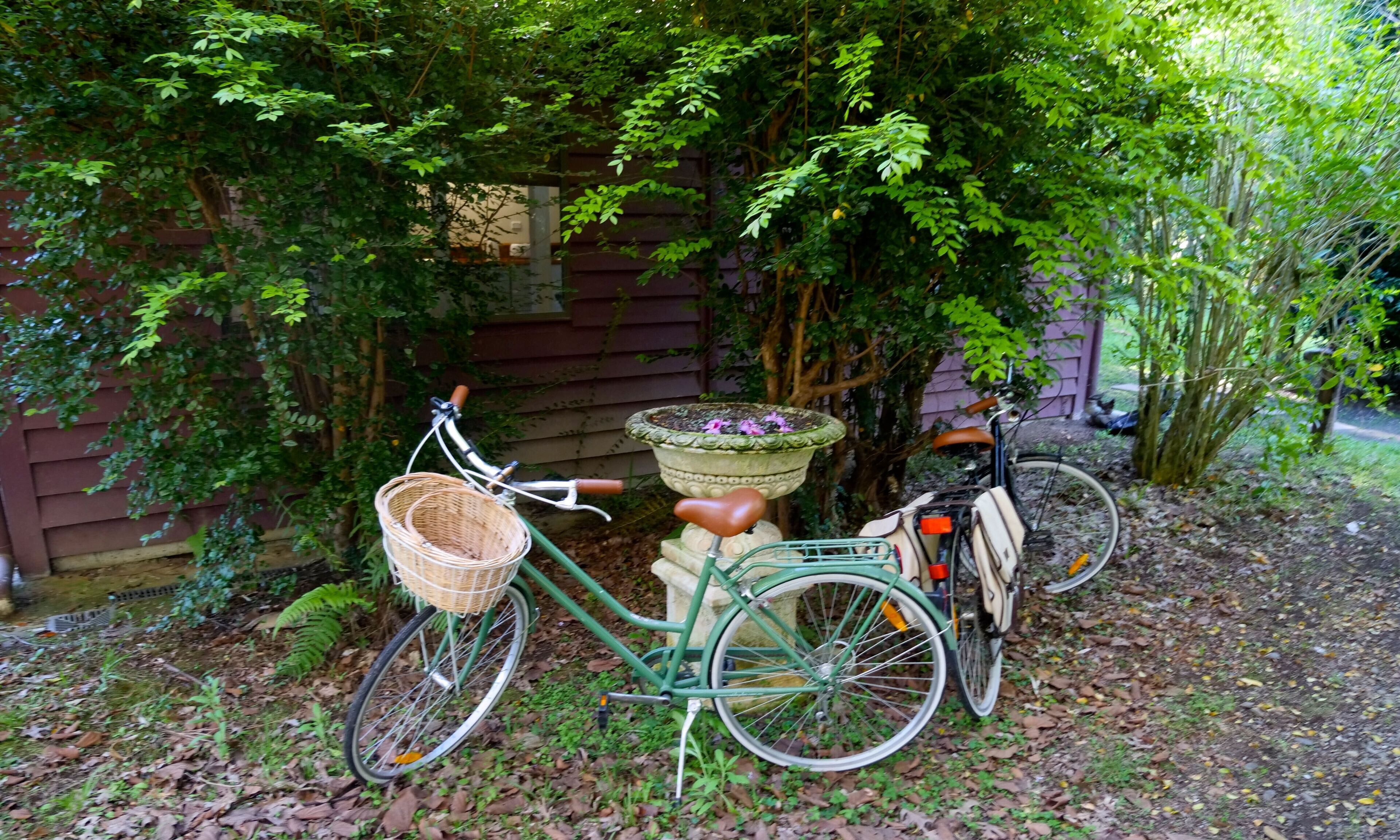 Easy Street Retreat - River Cottage