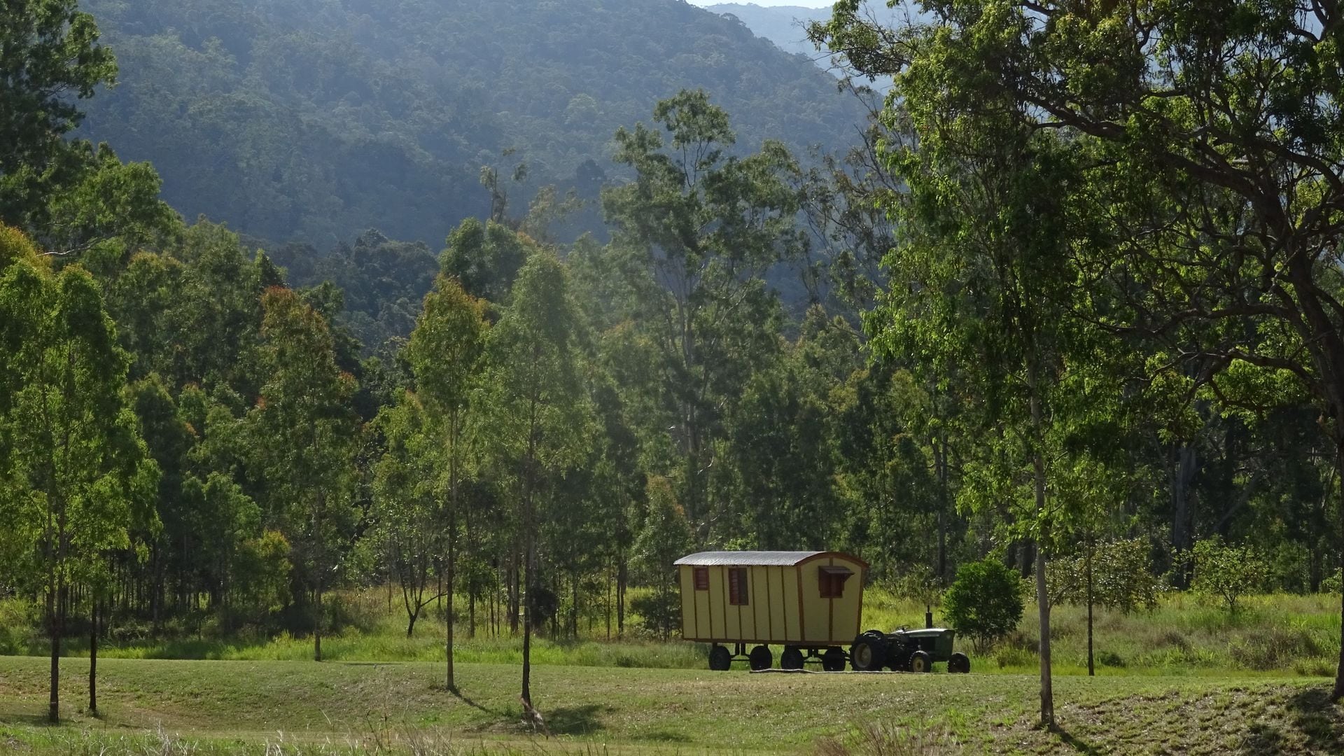 Gypsy Wagon Glamping Port Douglas Hinterland