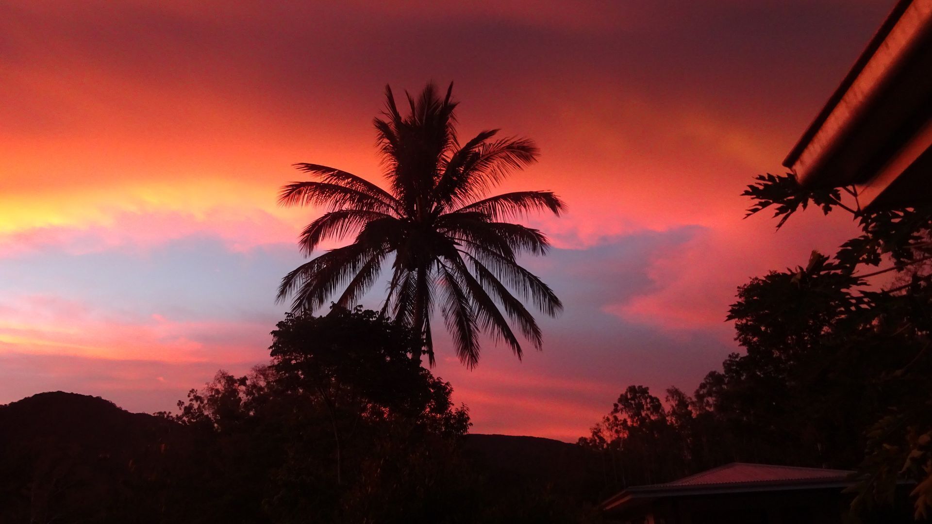 Gypsy Wagon Glamping Port Douglas Hinterland
