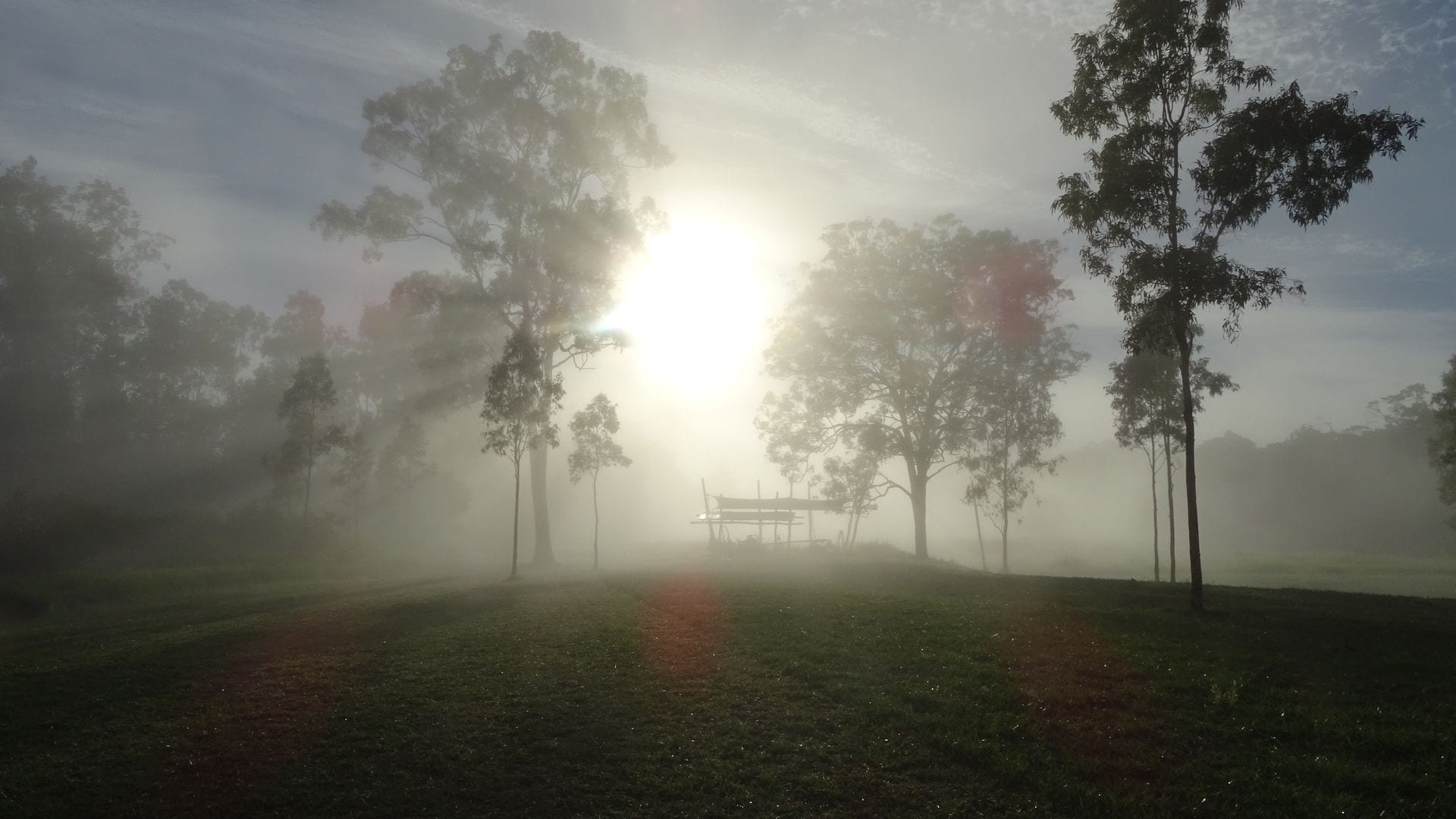 Gypsy Wagon Glamping Port Douglas Hinterland