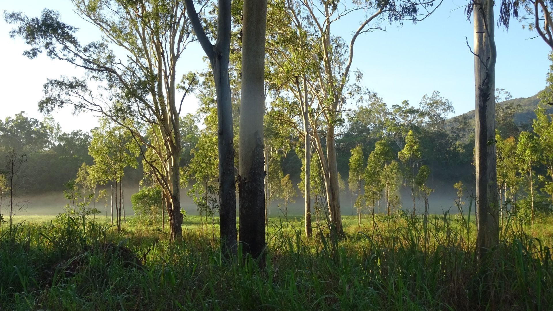 Gypsy Wagon Glamping Port Douglas Hinterland