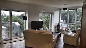 Televisio, DVD-soitin, stereot