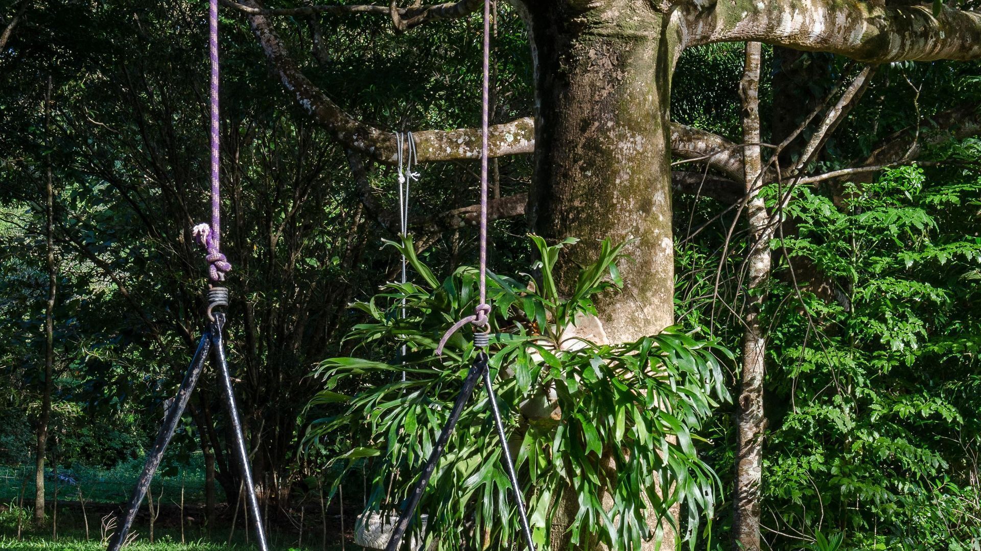 Hibiscus Cottage - Rainforest With Private Creek