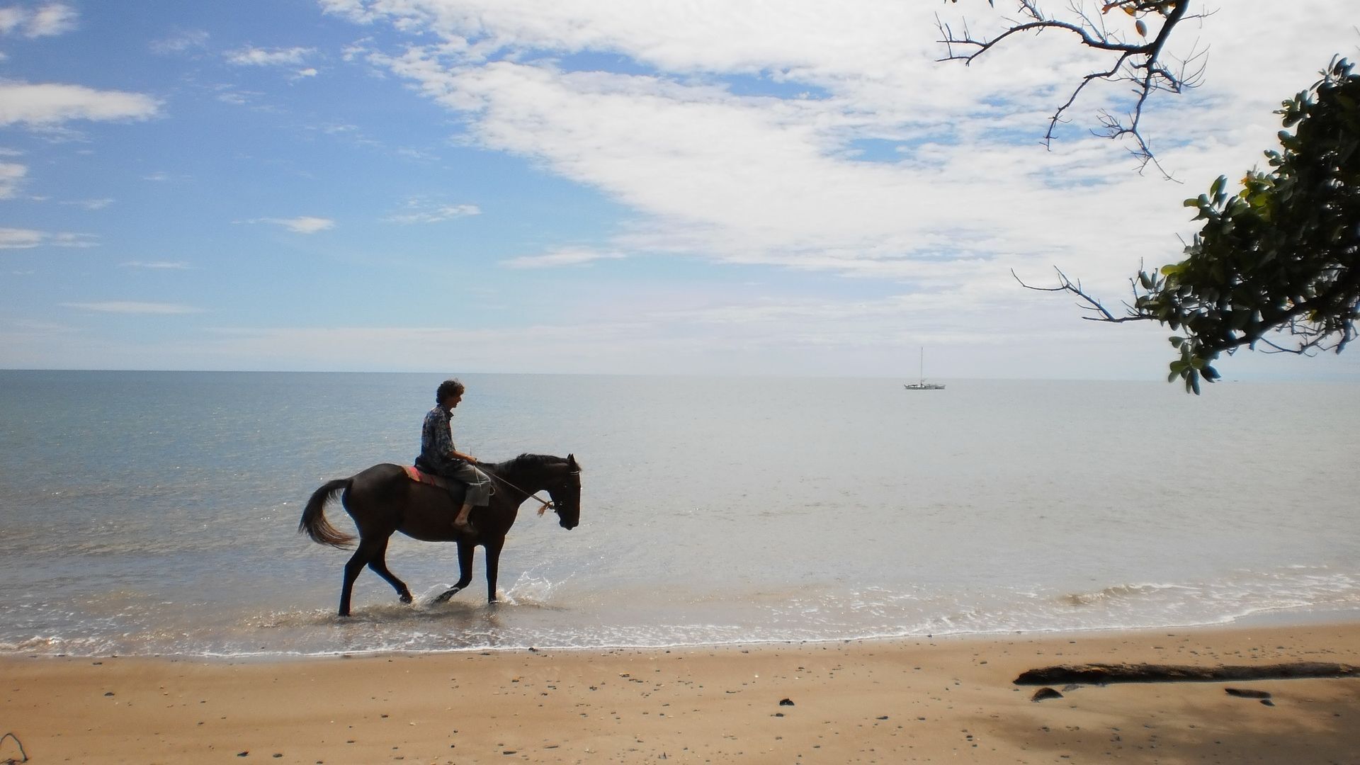 Hibiscus Cottage - Rainforest With Private Creek