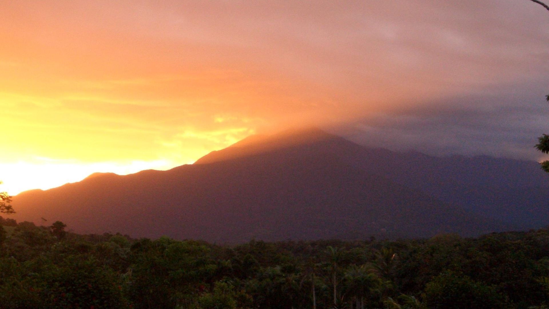 Hibiscus Cottage - Rainforest With Private Creek
