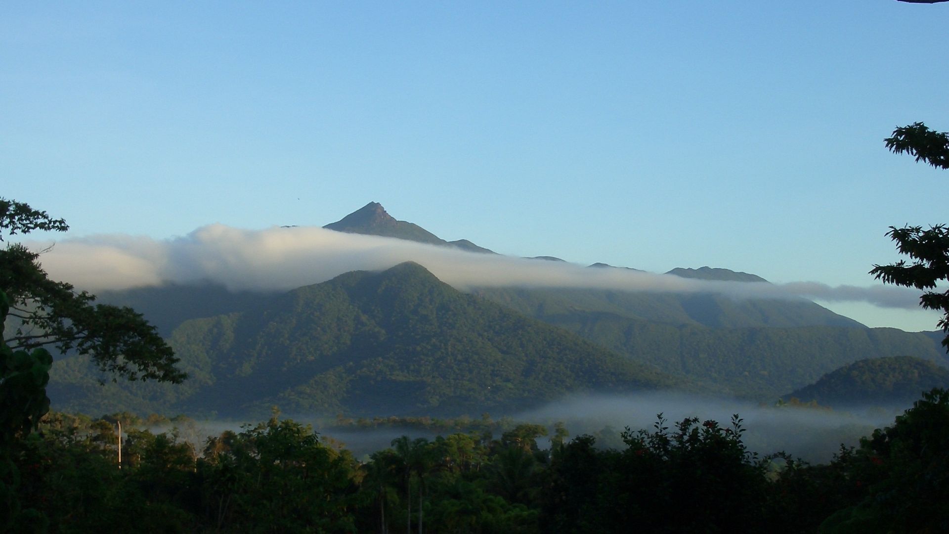 Hibiscus Cottage - Rainforest With Private Creek