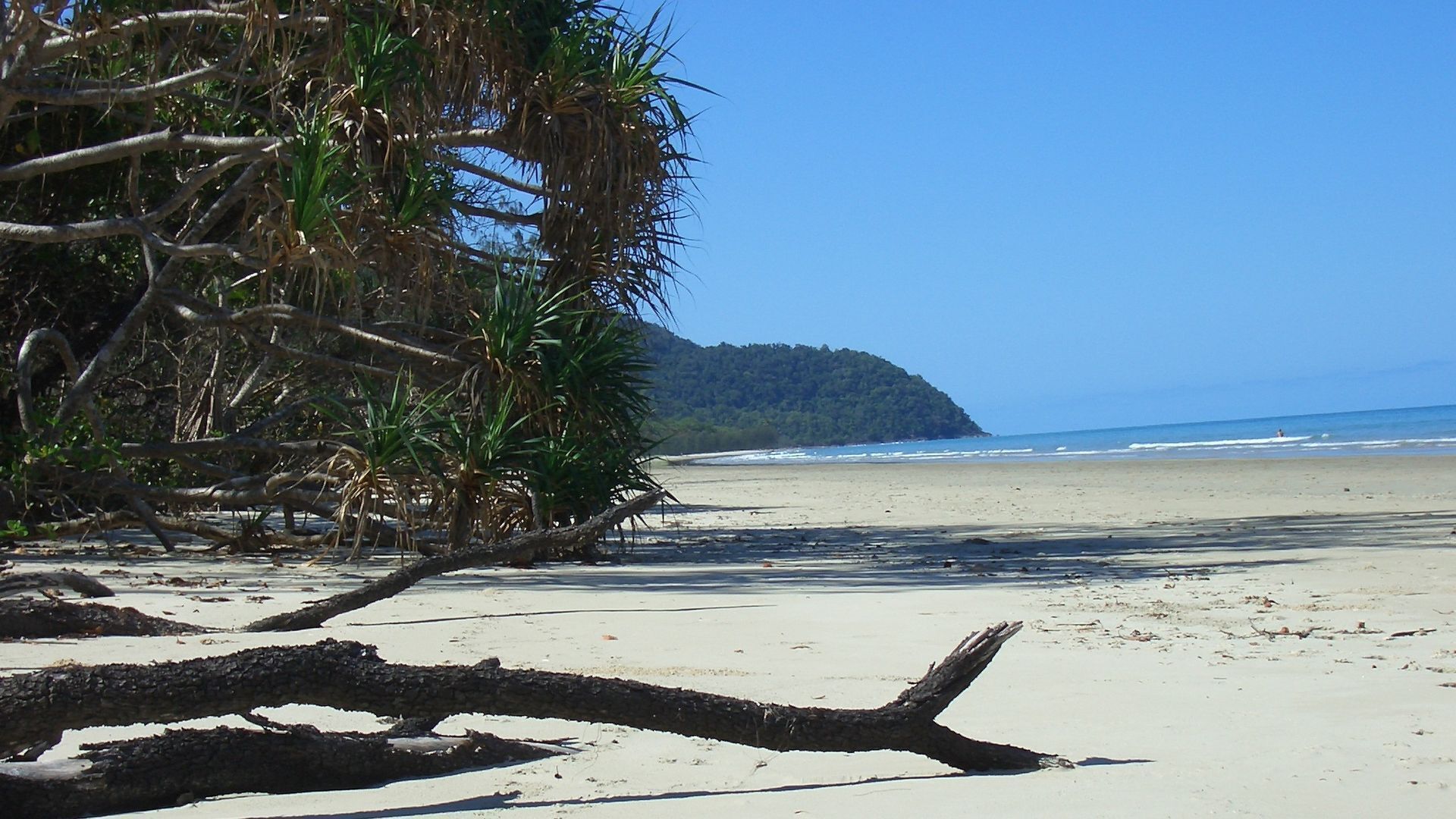 Hibiscus Cottage - Rainforest With Private Creek
