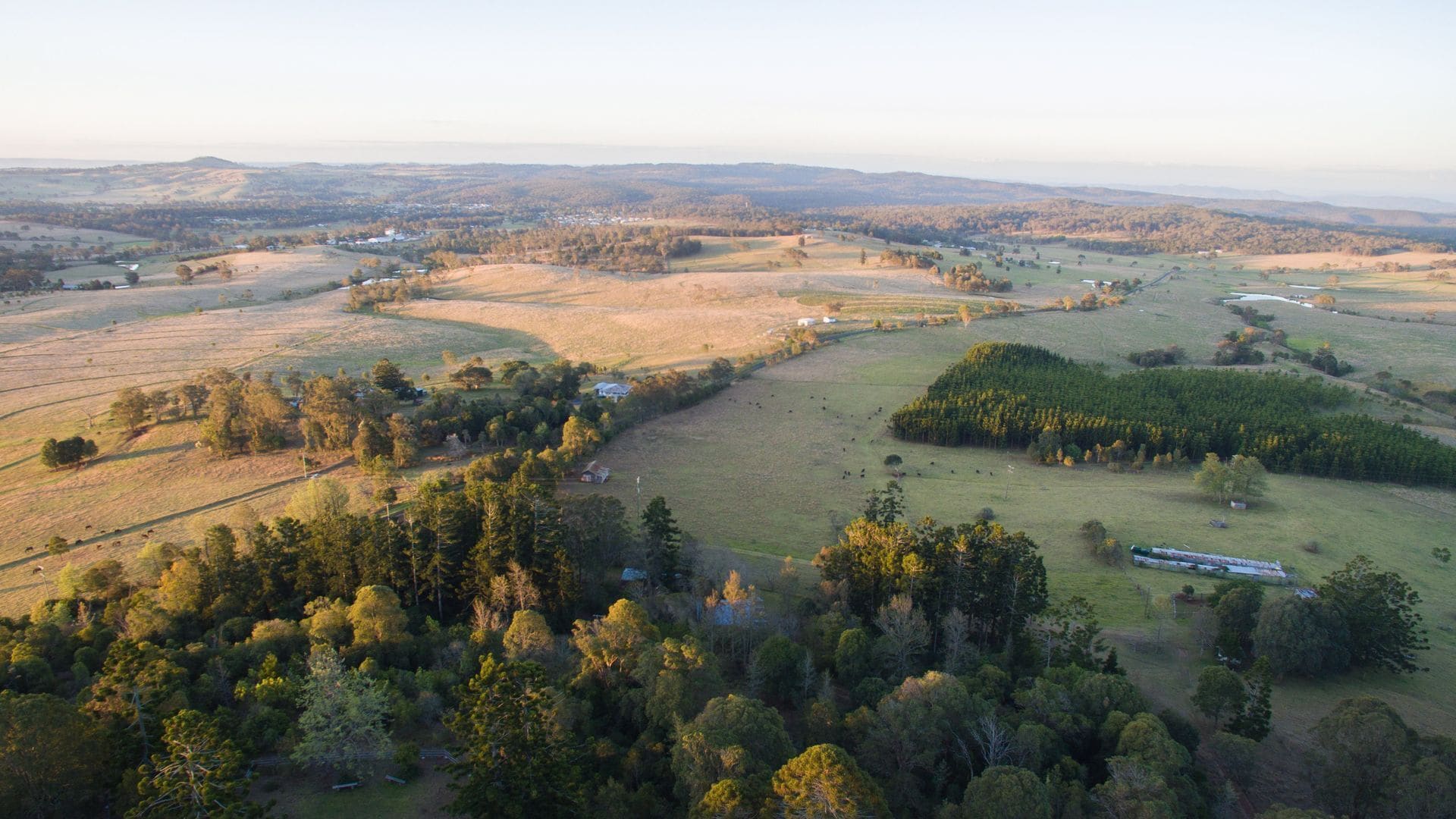Pechey Homestead Farmstay - Jacaranda Cottage