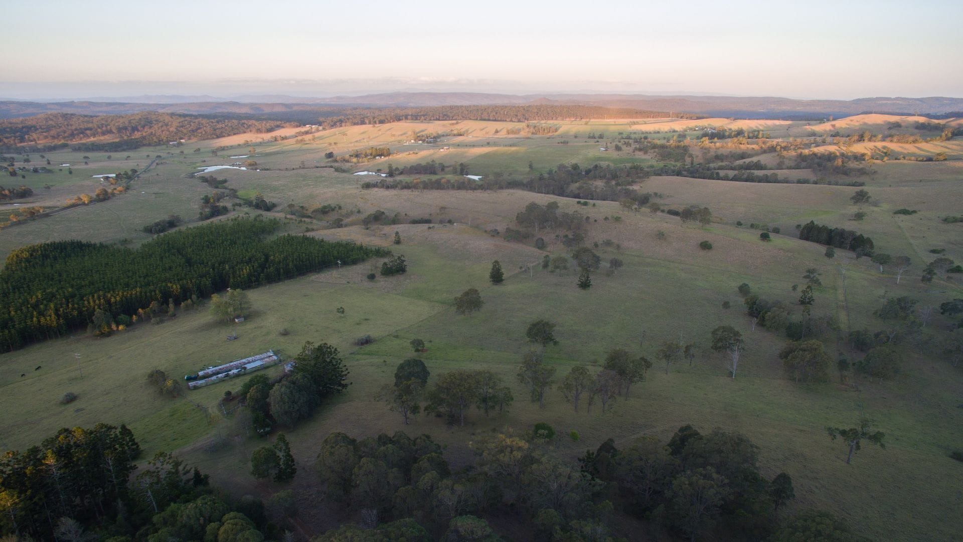 Pechey Homestead Farmstay - Jacaranda Cottage