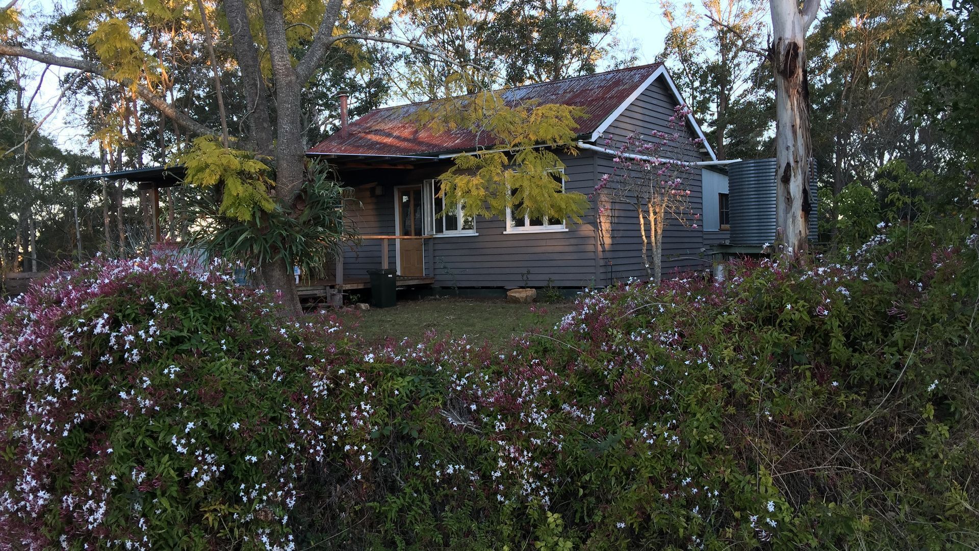 Pechey Homestead Farmstay - Jacaranda Cottage