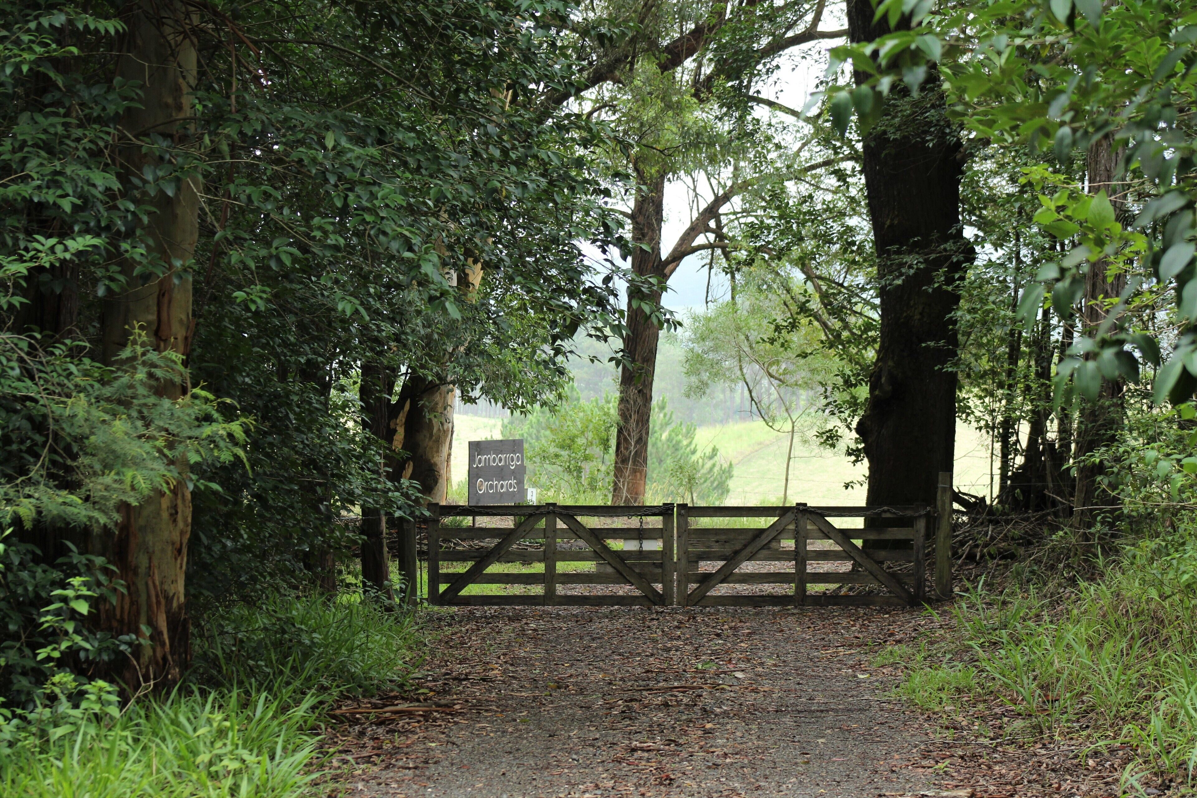 Luxurious eco-friendly retreat in a rural setting on the Mid North Coast of NSW