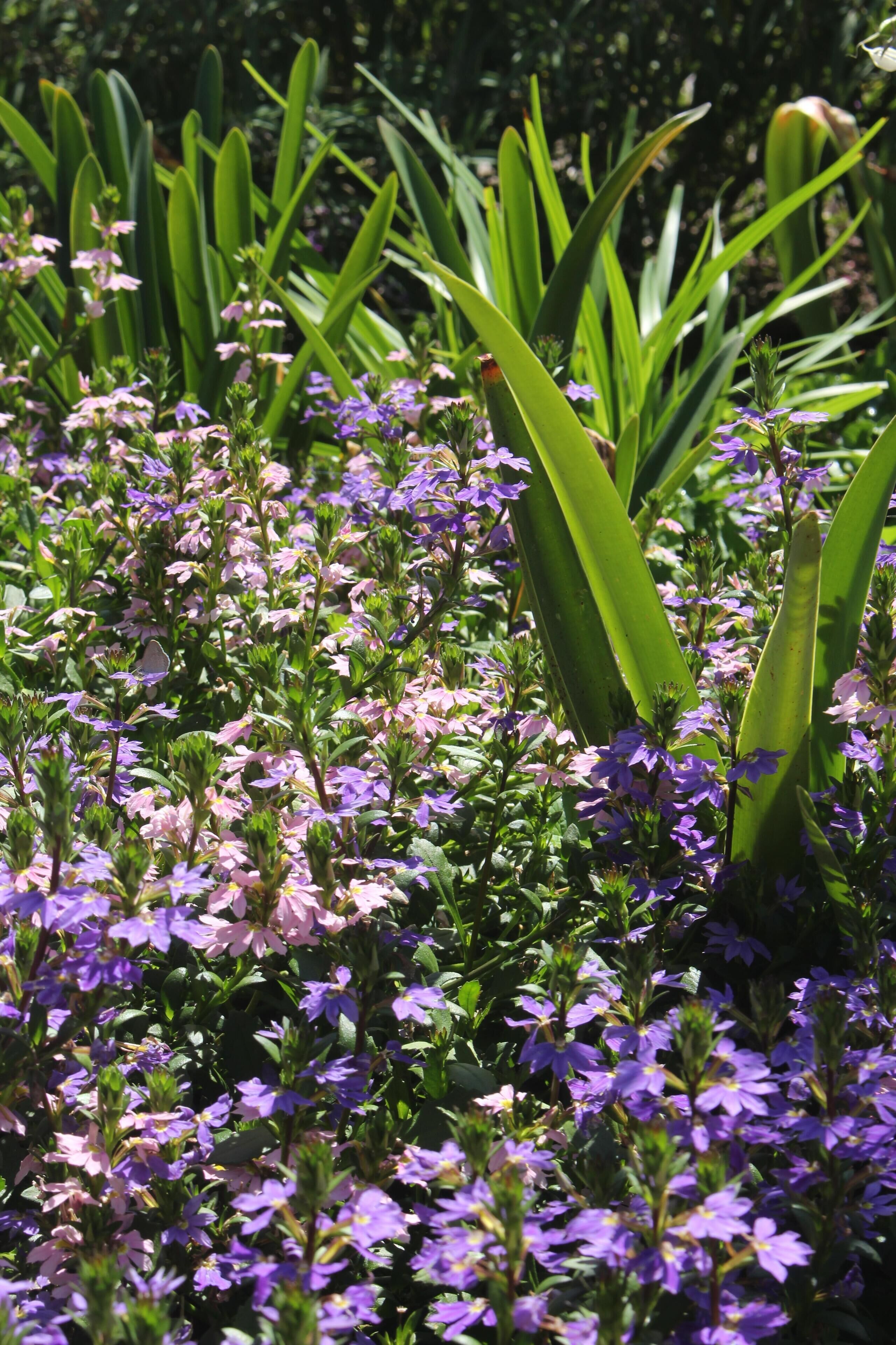 Luxurious eco-friendly retreat in a rural setting on the Mid North Coast of NSW