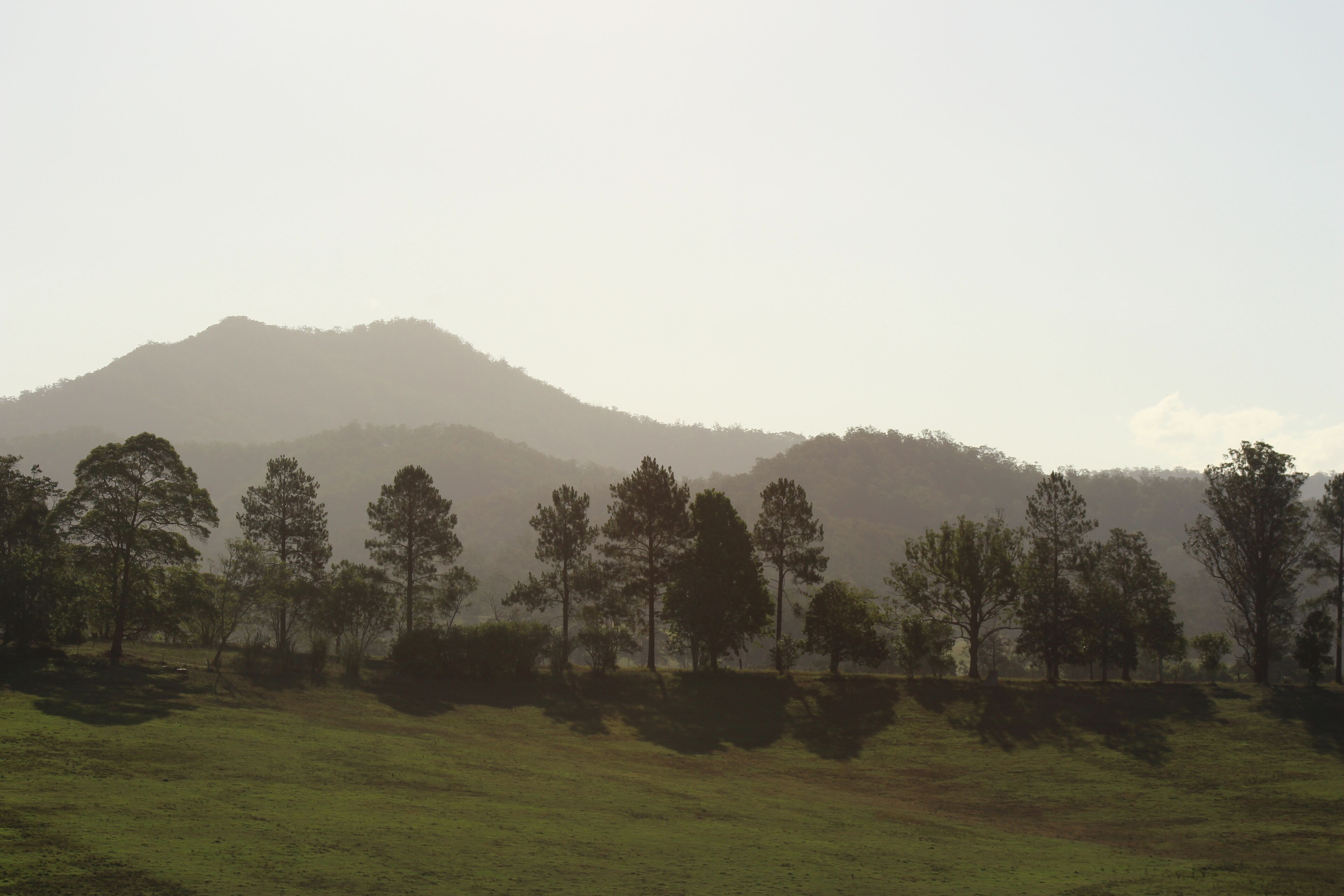 Luxurious eco-friendly retreat in a rural setting on the Mid North Coast of NSW