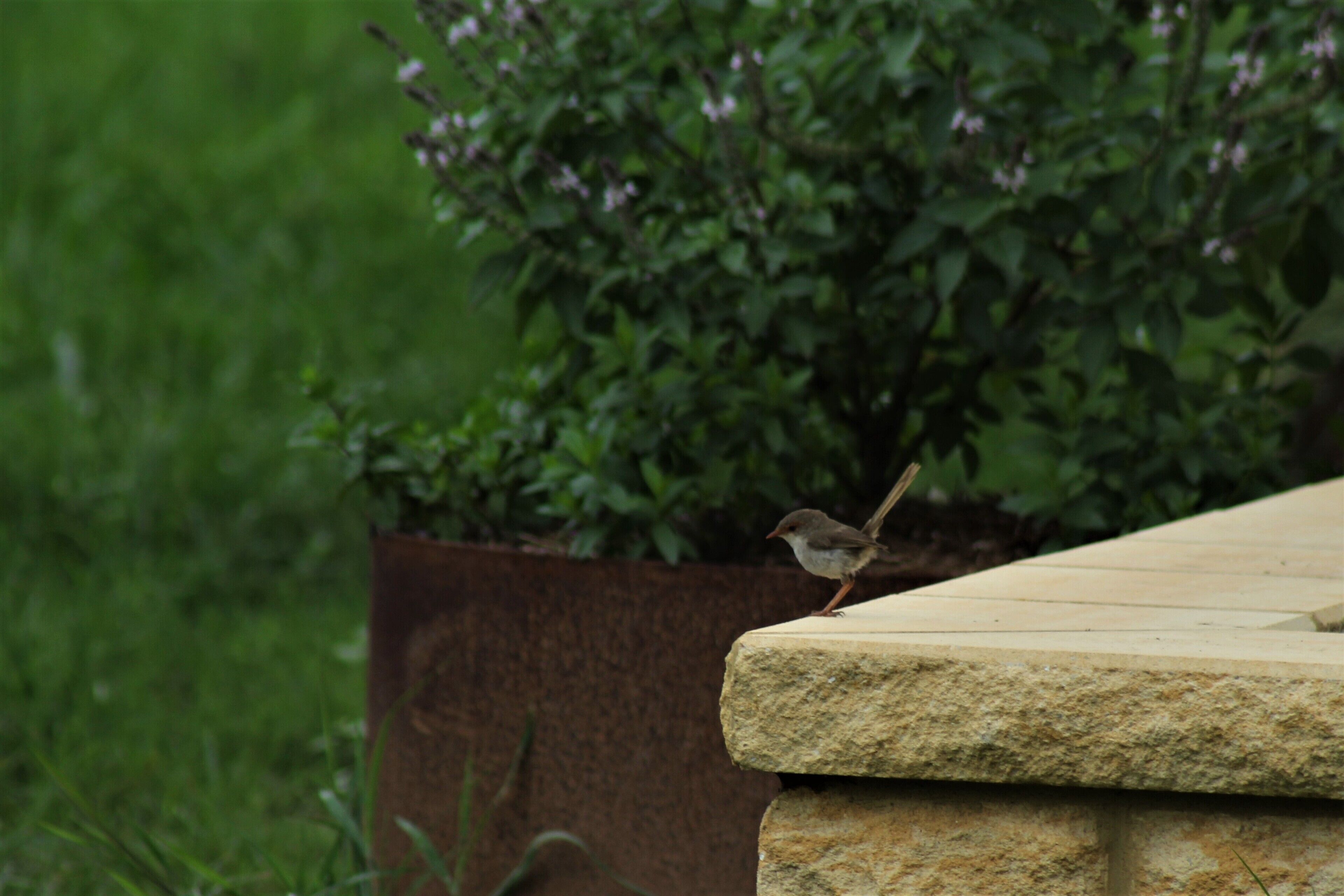 Luxurious eco-friendly retreat in a rural setting on the Mid North Coast of NSW