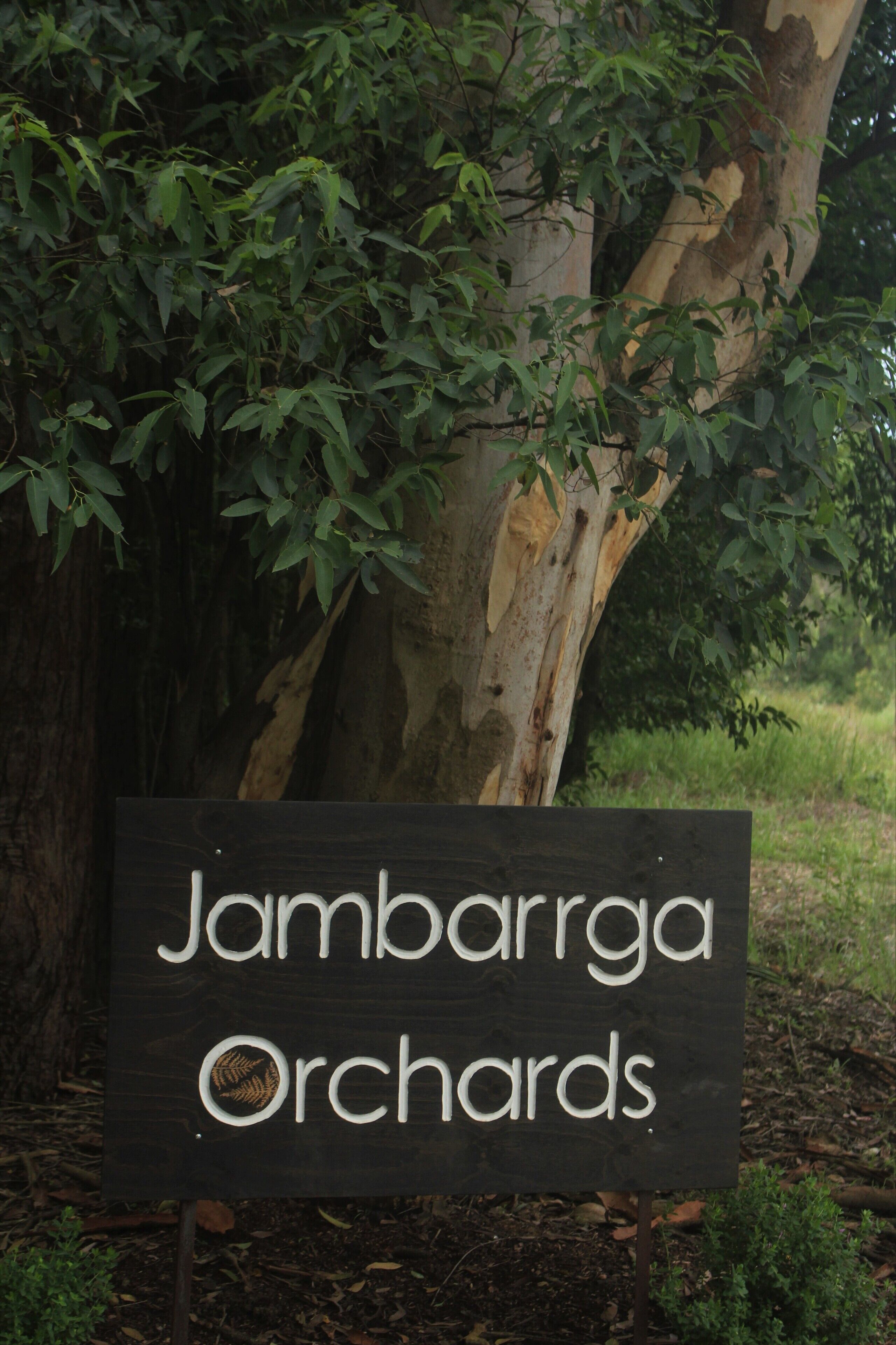 Luxurious eco-friendly retreat in a rural setting on the Mid North Coast of NSW