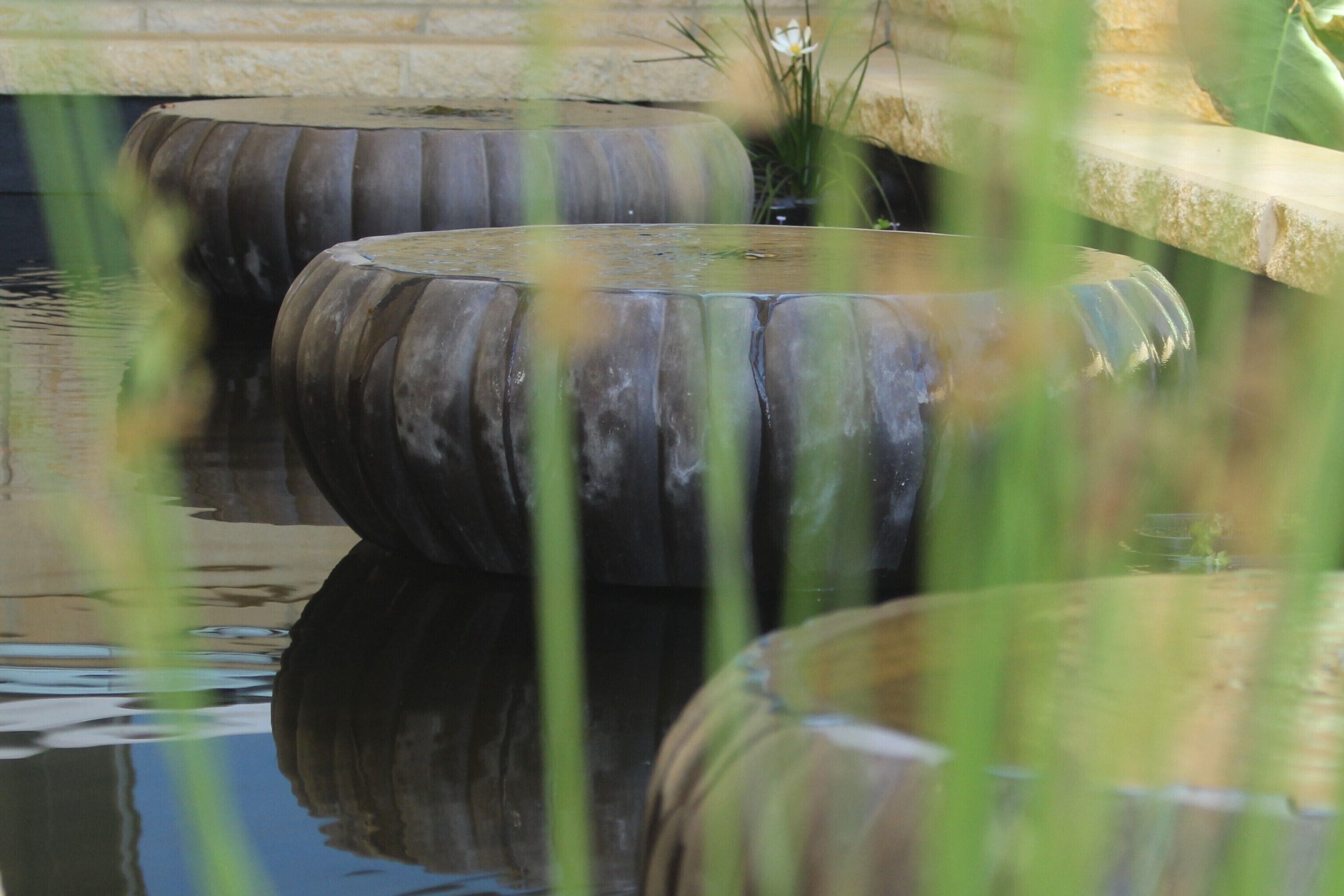 Luxurious eco-friendly retreat in a rural setting on the Mid North Coast of NSW