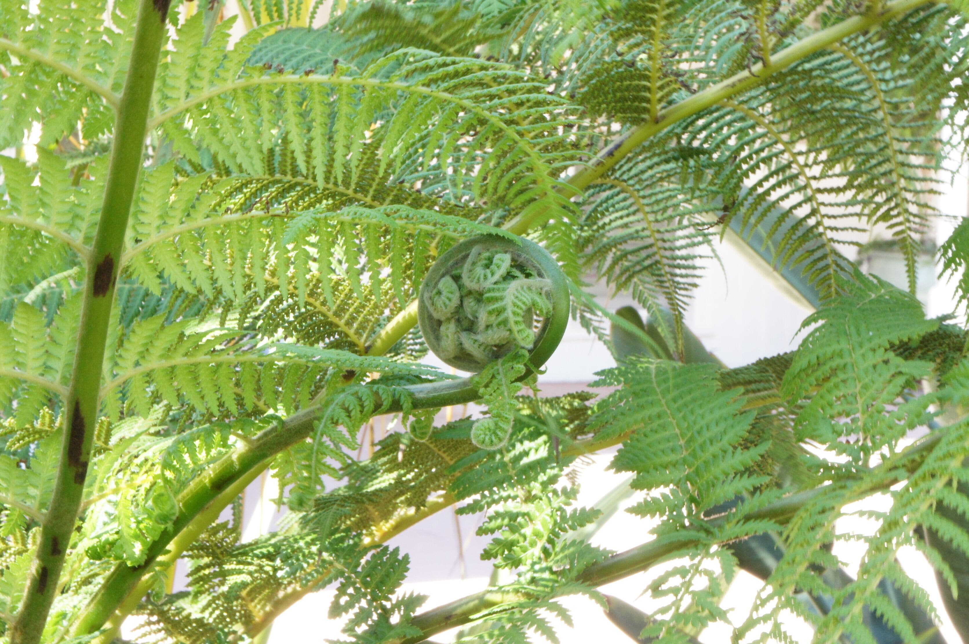 Luxurious eco-friendly retreat in a rural setting on the Mid North Coast of NSW