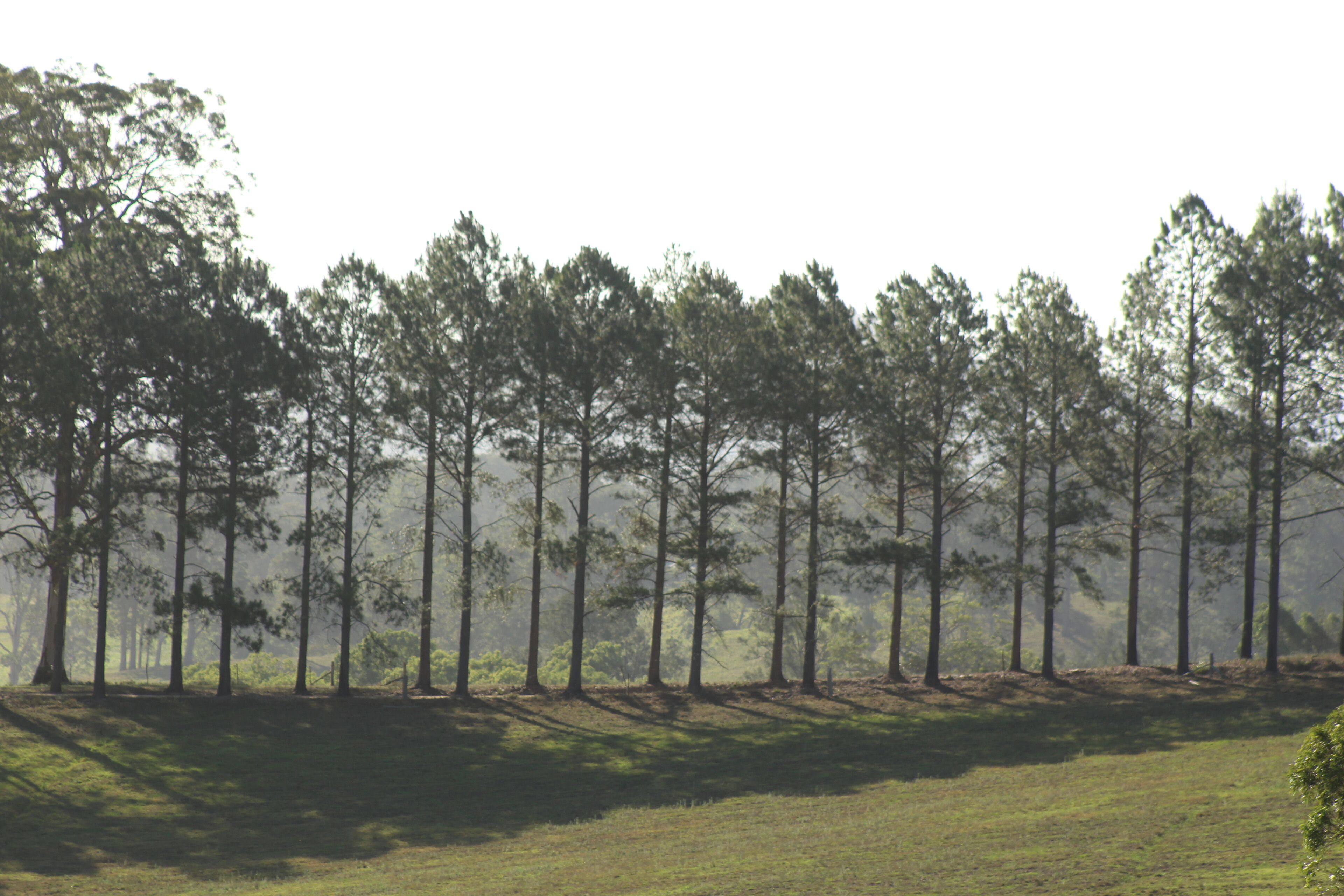 Luxurious eco-friendly retreat in a rural setting on the Mid North Coast of NSW