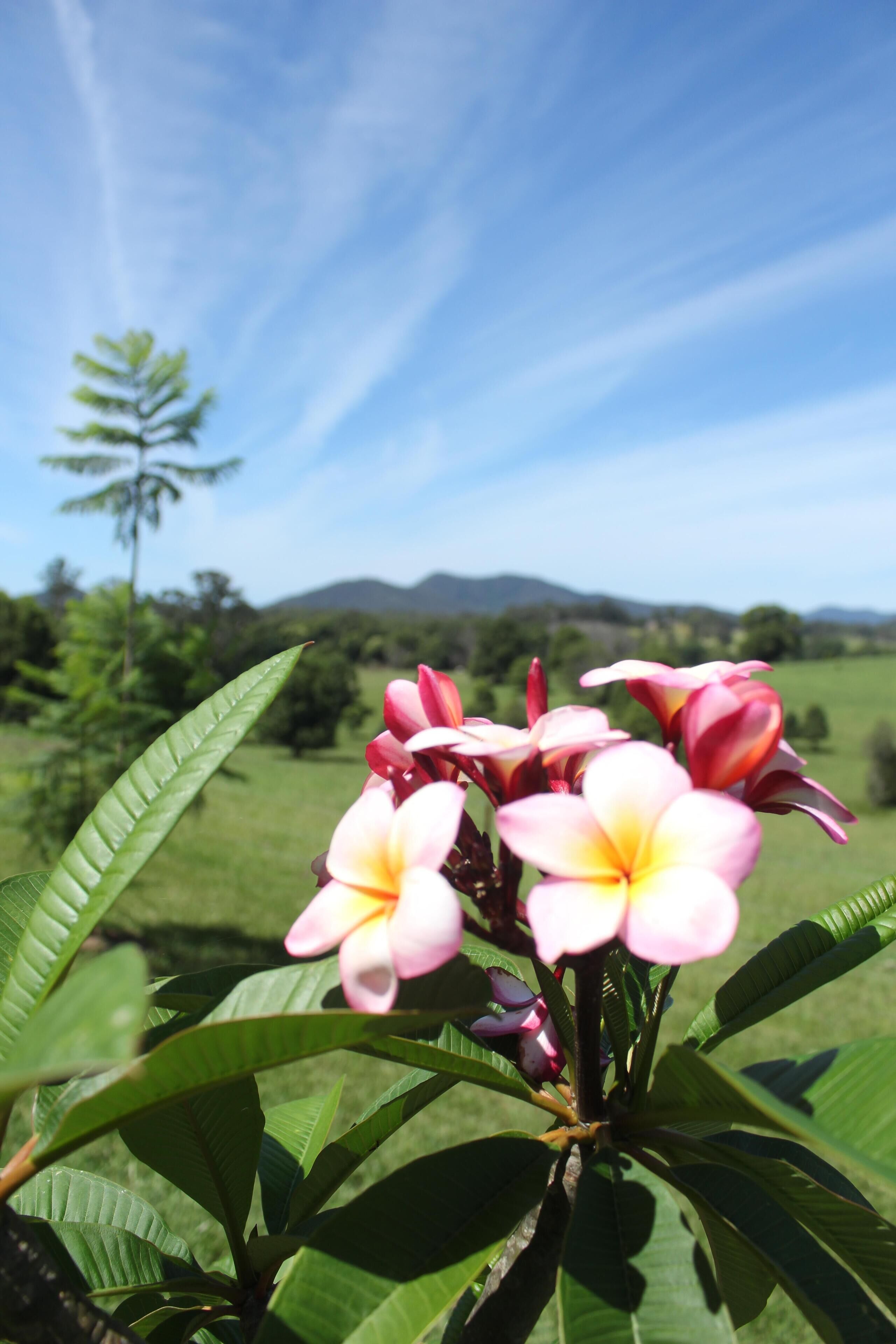 Luxurious eco-friendly retreat in a rural setting on the Mid North Coast of NSW